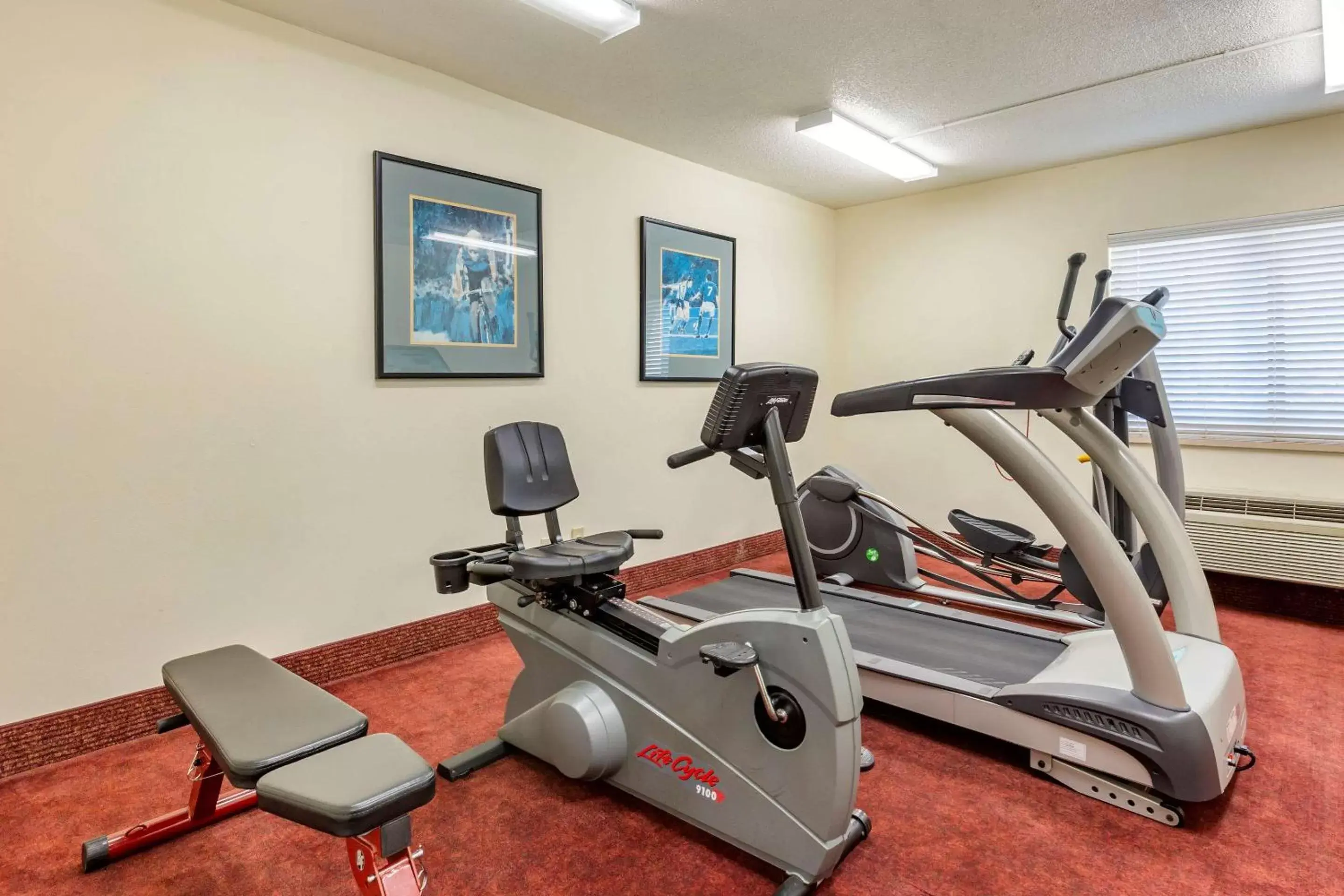Fitness centre/facilities, Fitness Center/Facilities in Quality Inn & Suites Raleigh Durham Airport