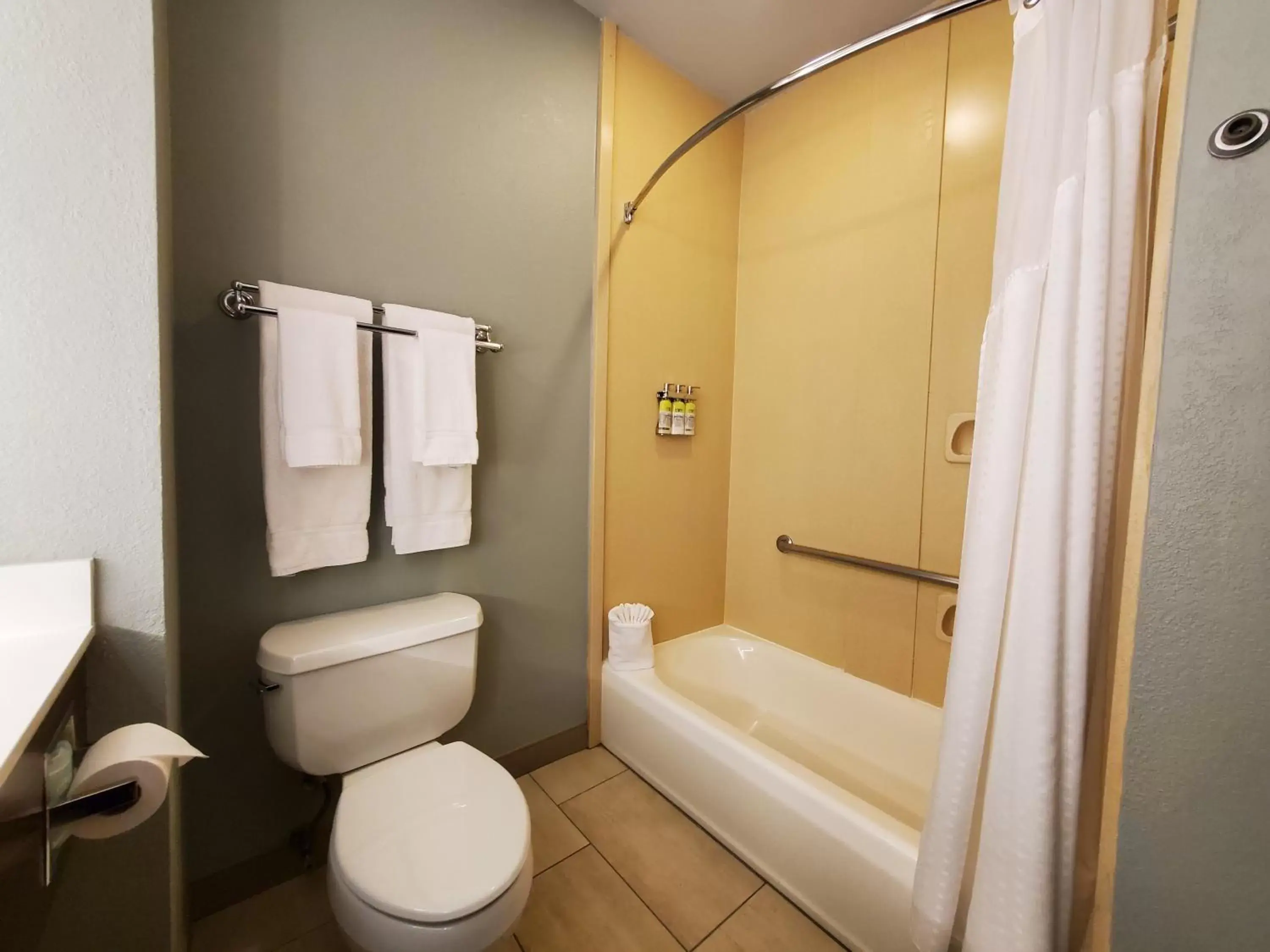 Bathroom in Holiday Inn Express Pearland, an IHG Hotel