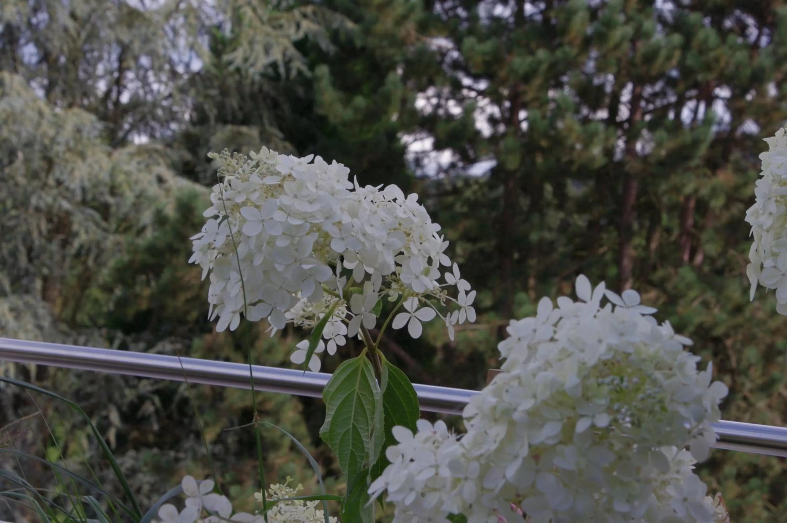 Garden in Hostellerie La Claire Fontaine, Logis hôtels & Spa