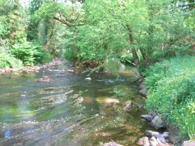 Natural Landscape in The Dales