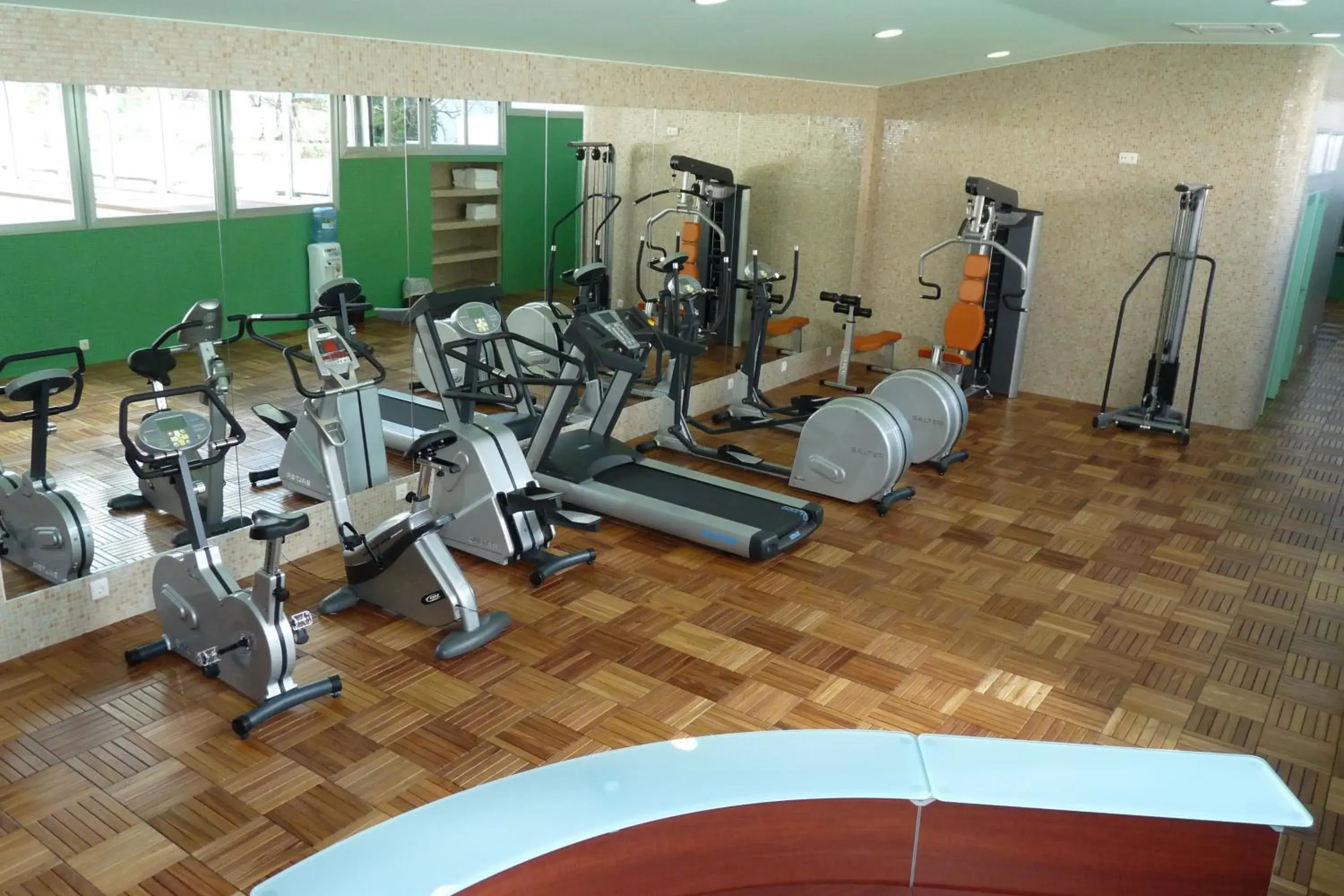 Fitness centre/facilities, Fitness Center/Facilities in Sercotel Guadiana