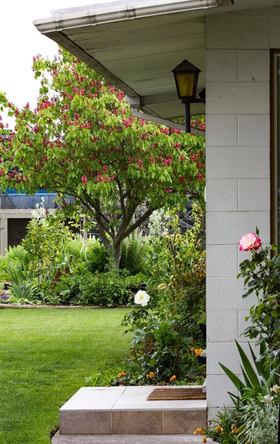Patio/Outdoor Area in Magnolia House