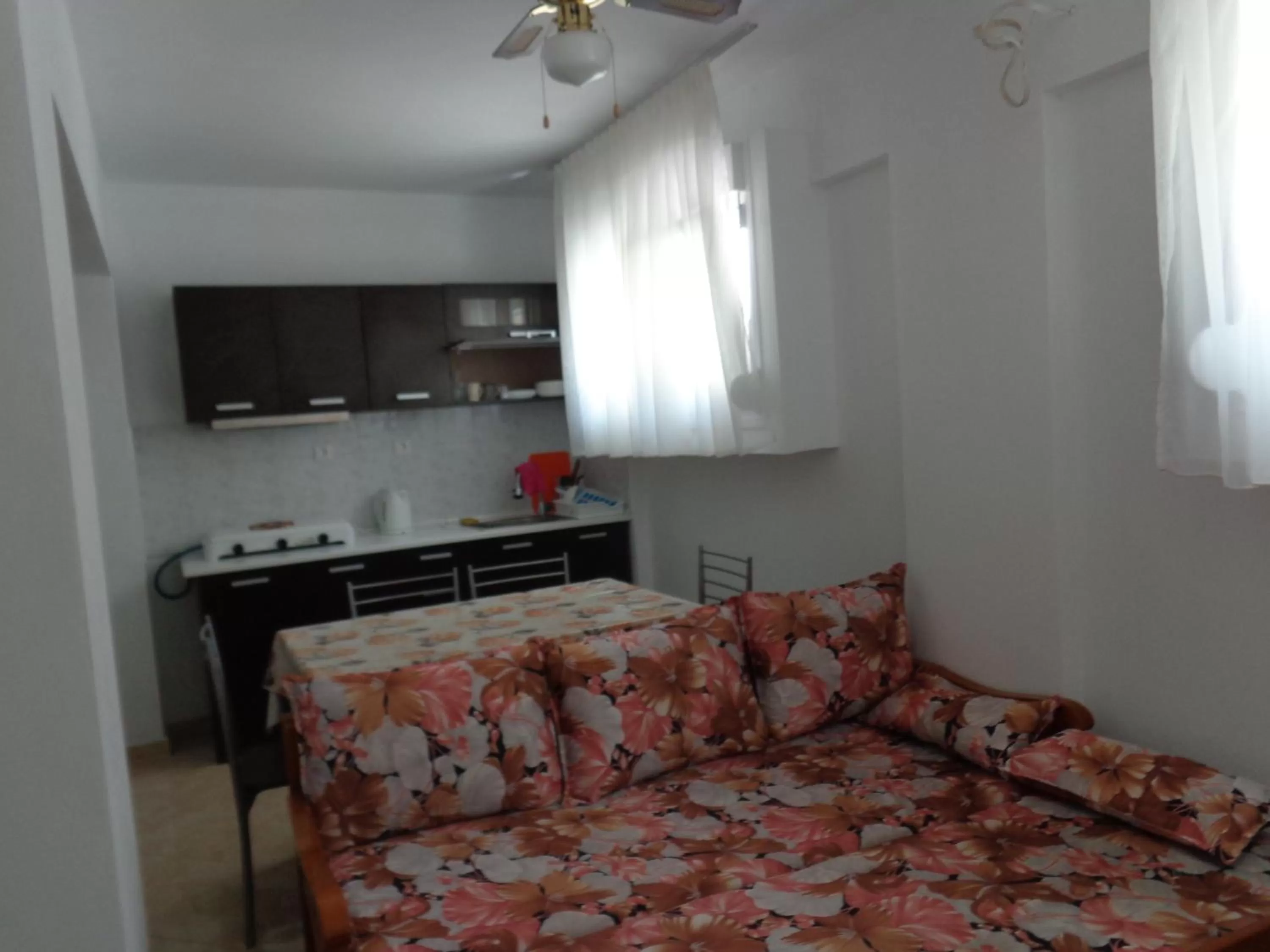 Kitchen/Kitchenette in Apartments Vladimir