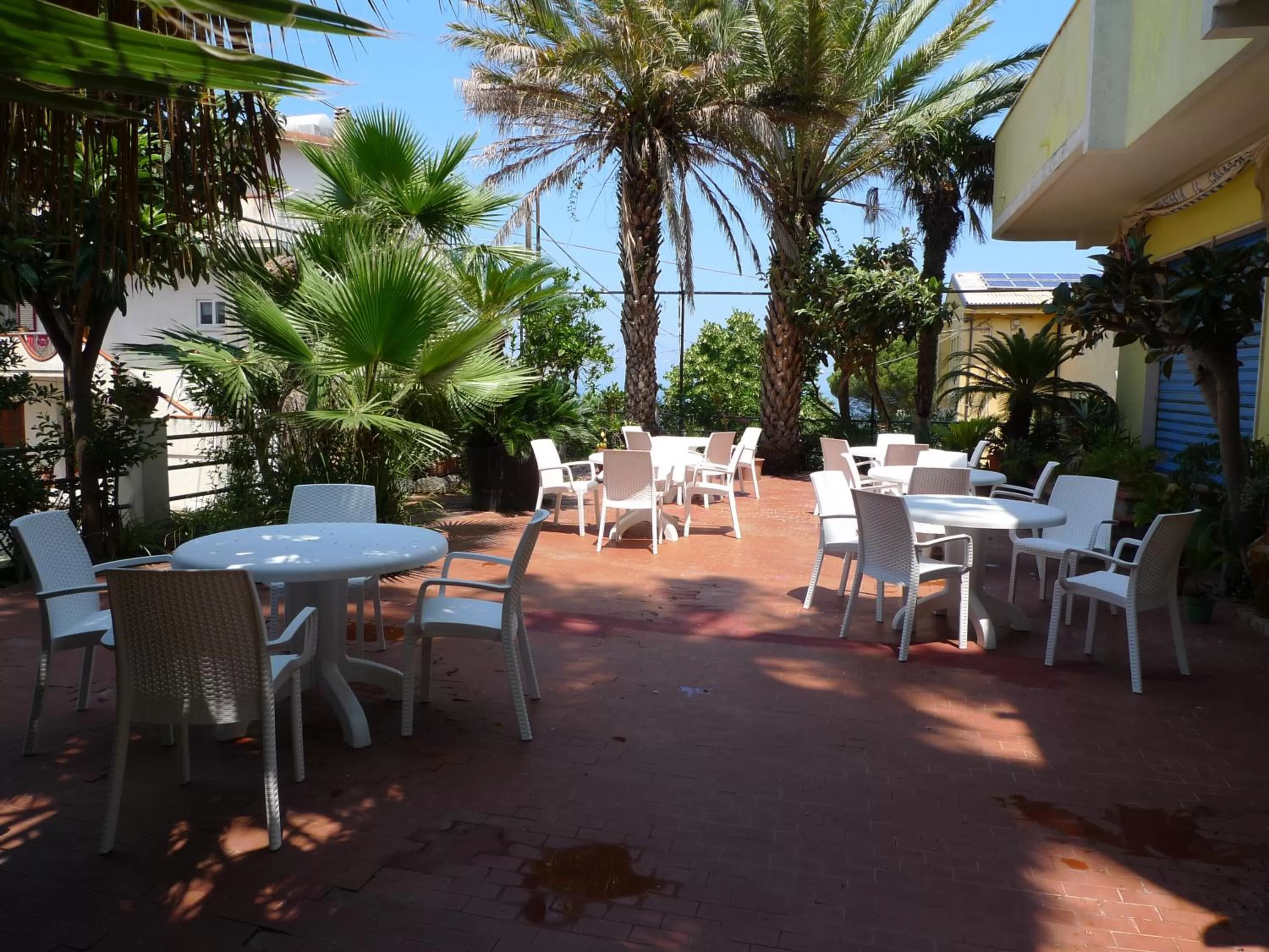 Garden in Hotel Alexander