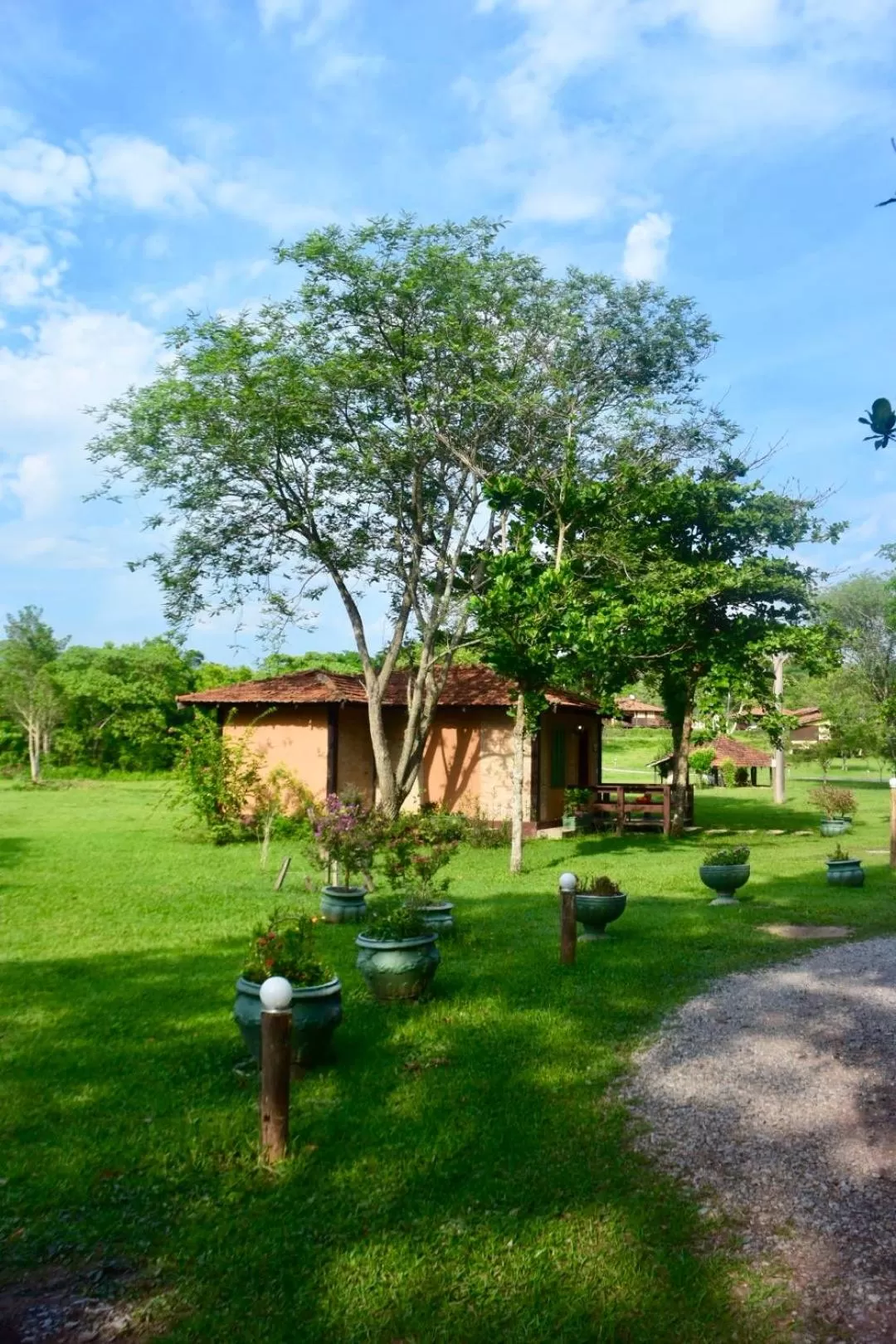 Garden in Hotel Santa Esmeralda