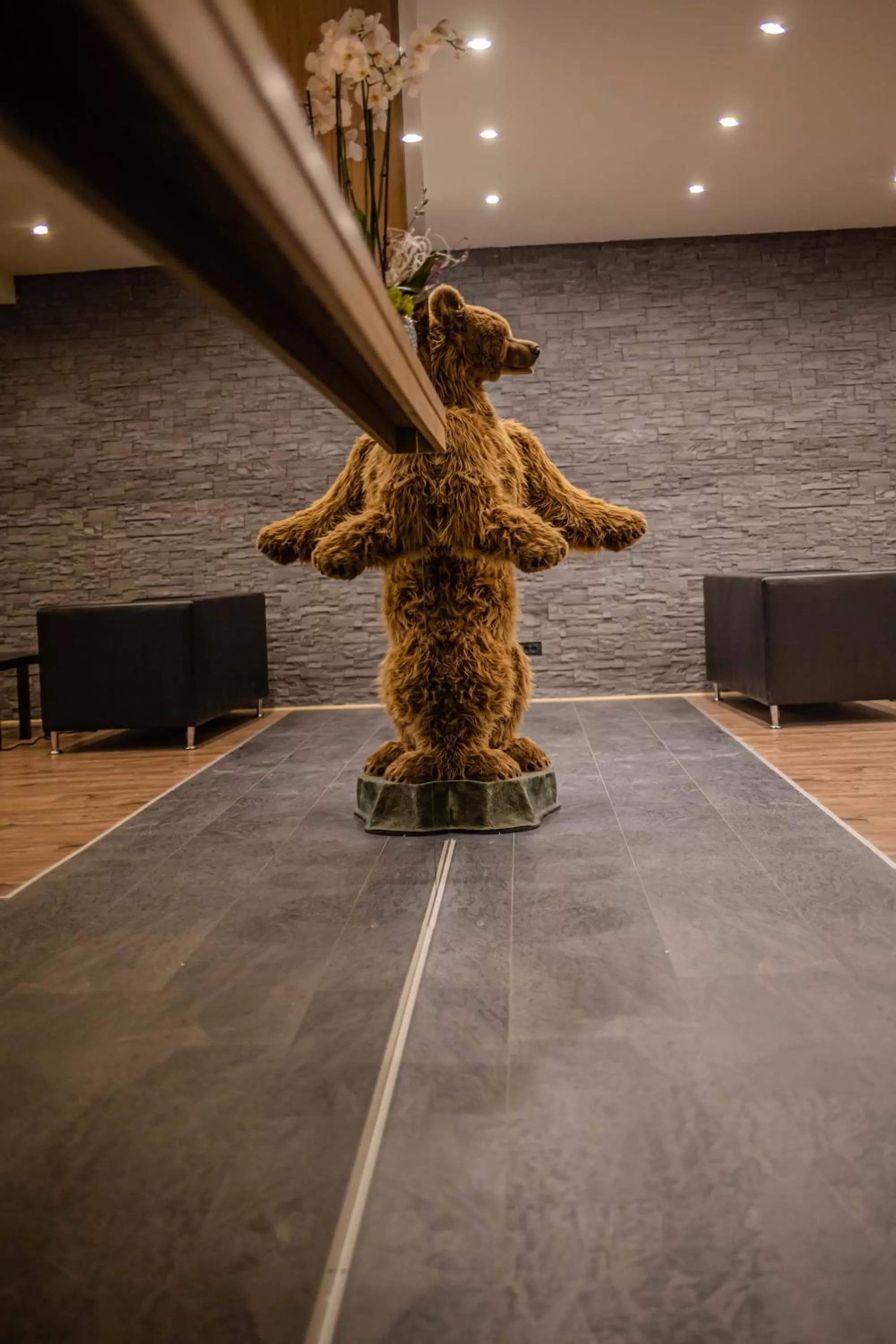 Logo/Certificate/Sign in Ursuletul Predeal