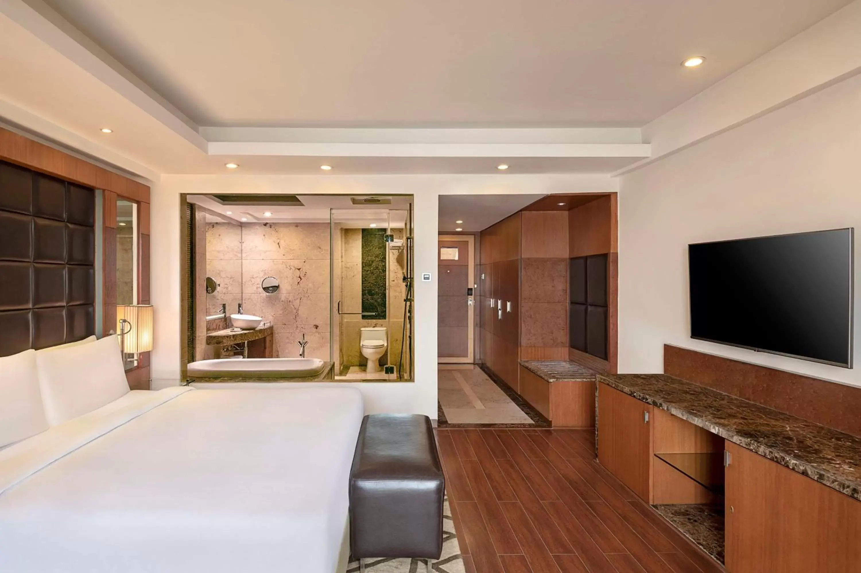 Bedroom, TV/Entertainment Center in Radisson Blu Plaza Delhi Airport