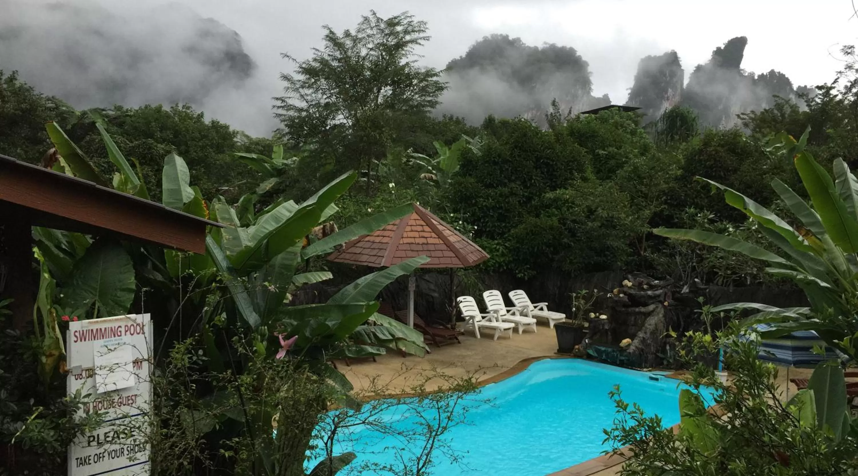 Pool view in Khao Sok Morning Mist Resort
