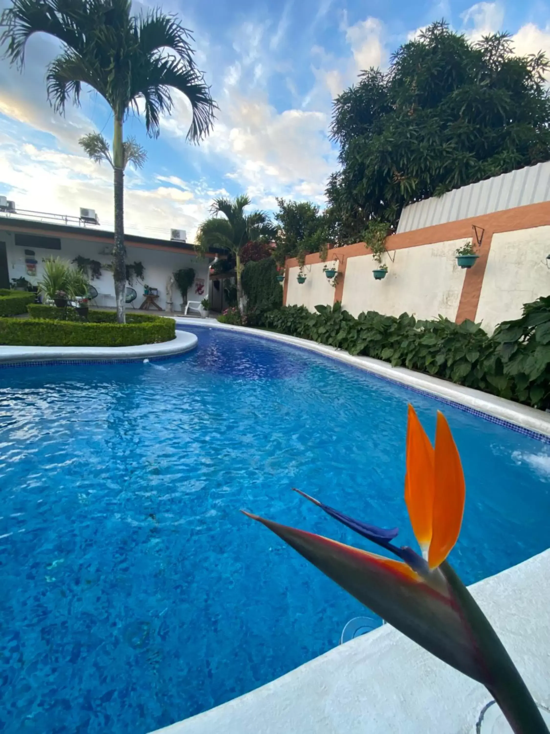 Swimming Pool in Berlor Airport Inn