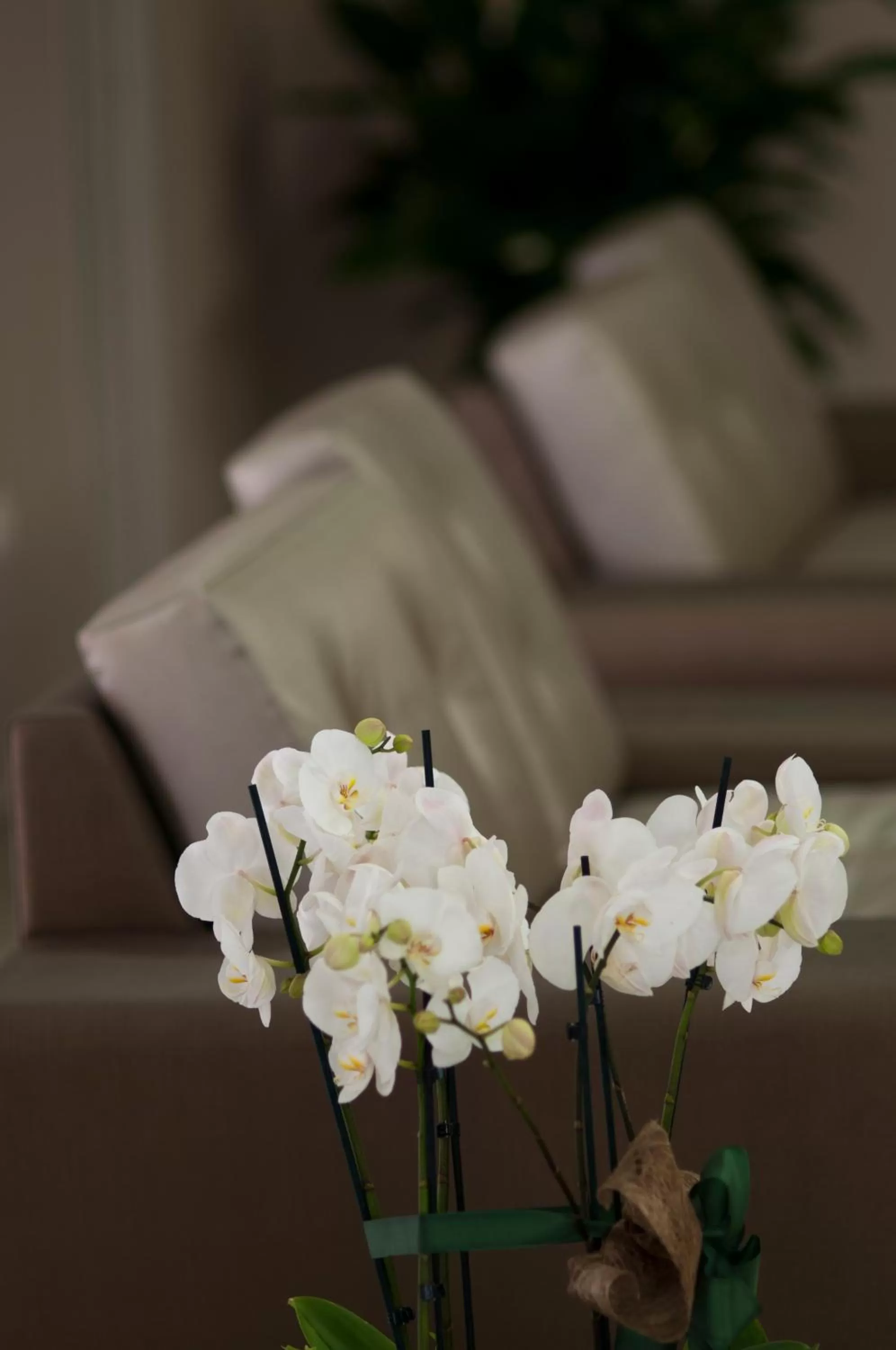 Decorative detail in Alma di Alghero Hotel