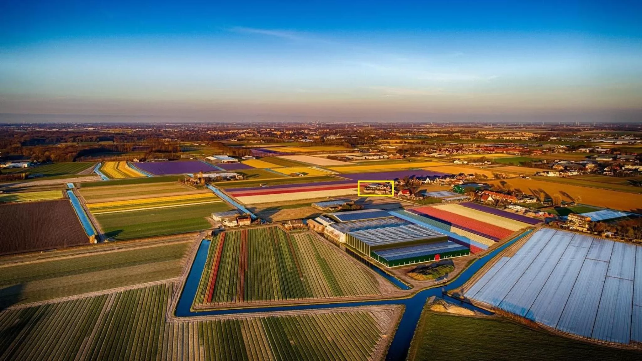 Bird's eye view, Bird's-eye View in Blossombed