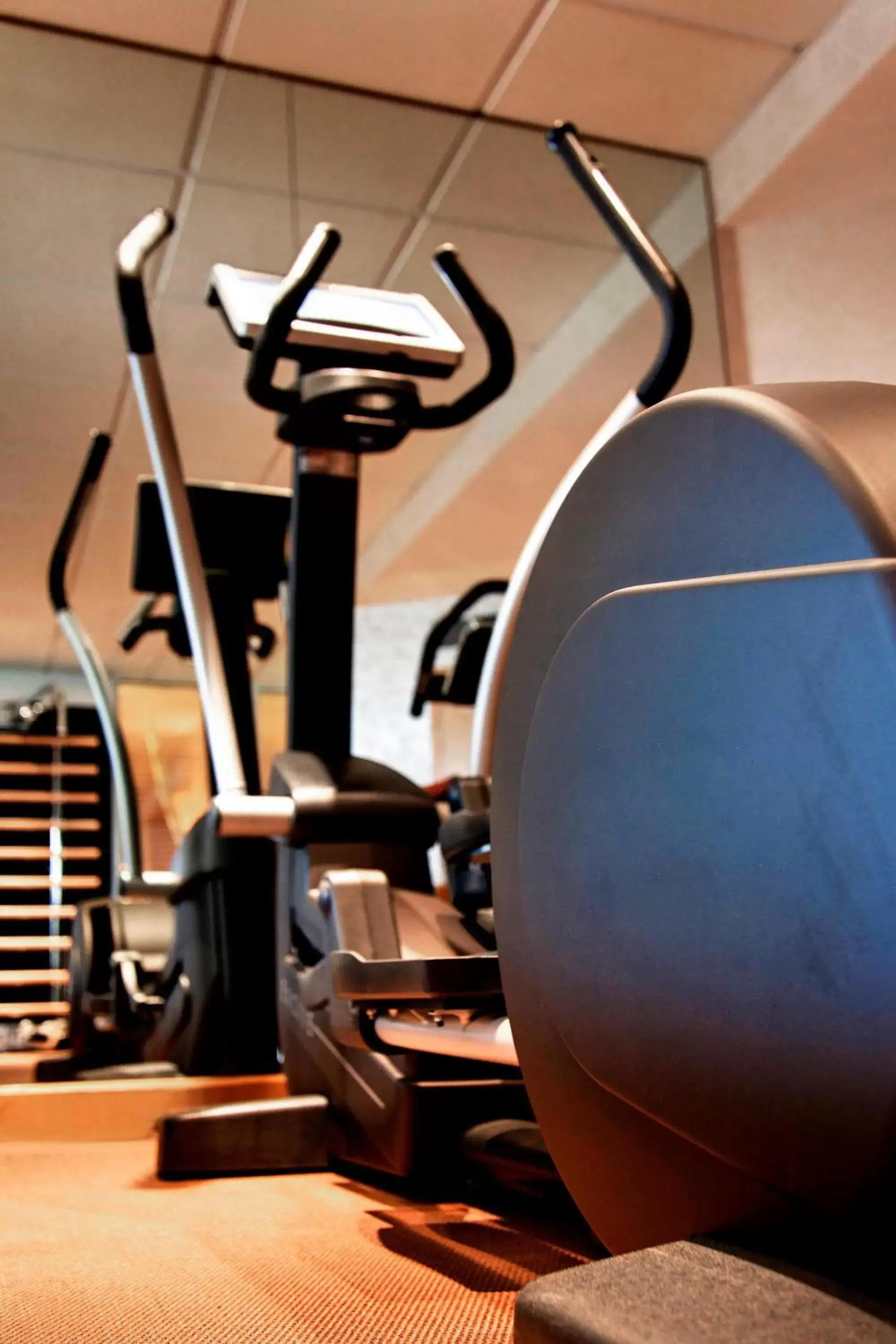 Fitness centre/facilities, Fitness Center/Facilities in Hotel President Wilson, a Luxury Collection Hotel, Geneva