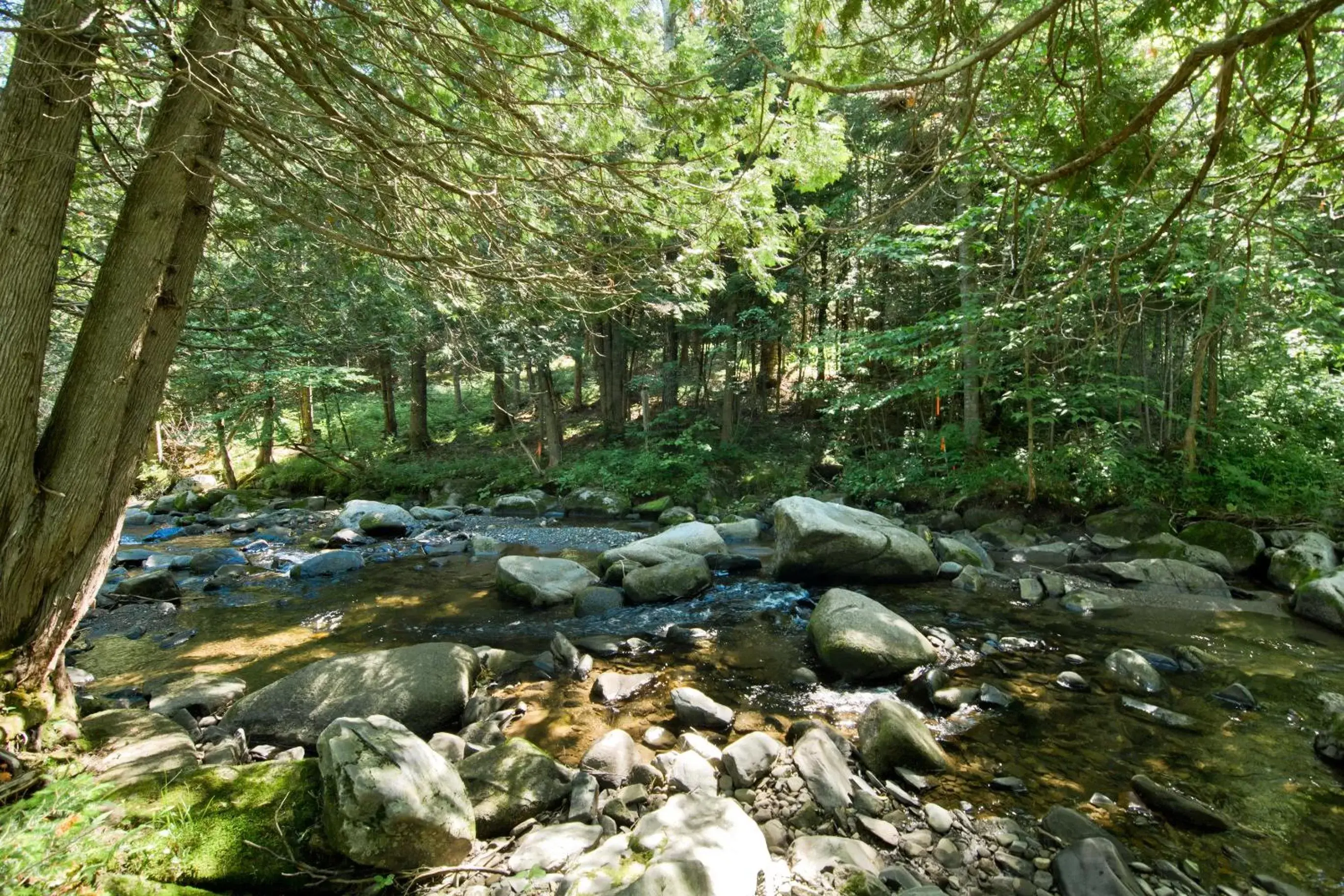 Natural Landscape in Camping Chalets Spas Pignons Rouges