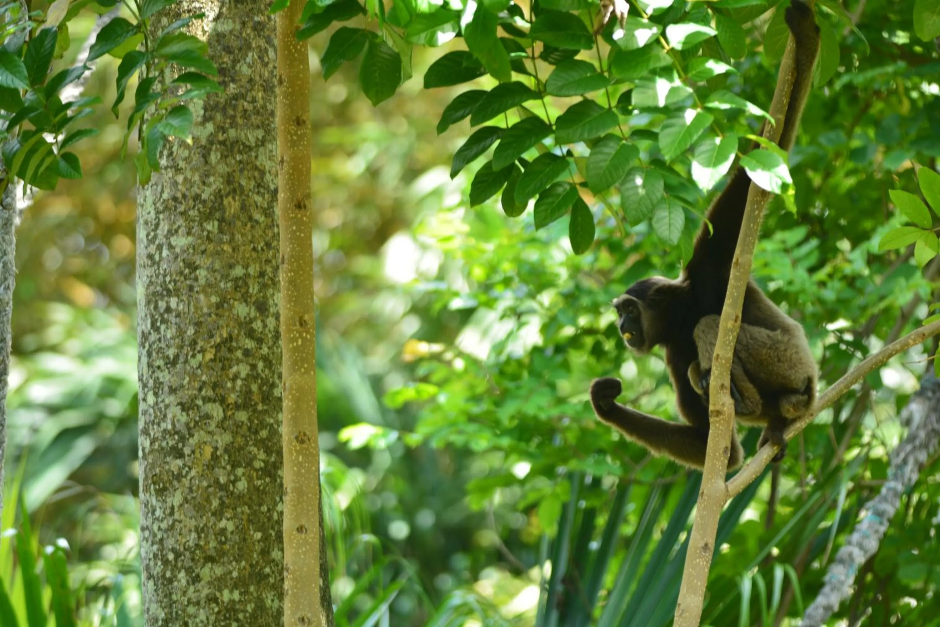 Off site in Griya Sriwedari