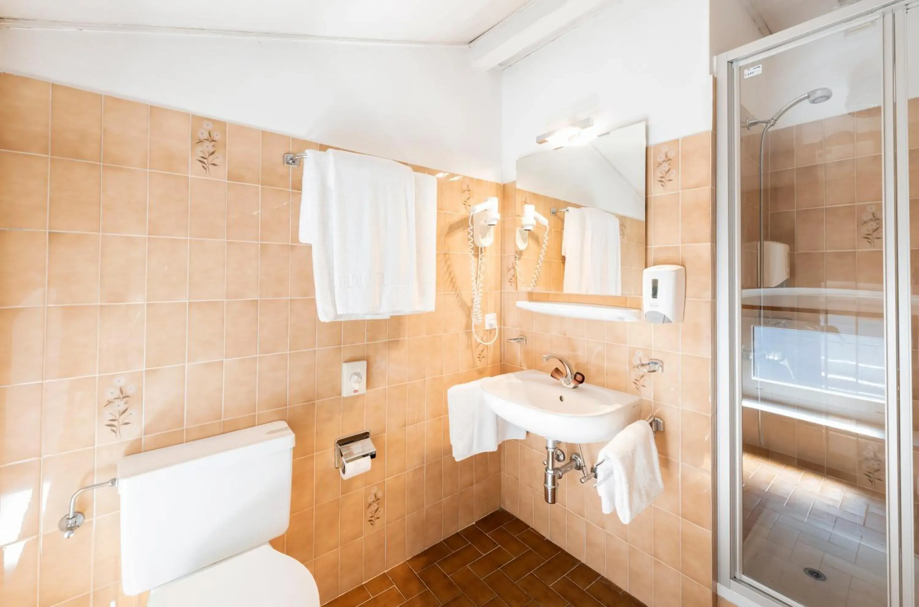 Shower, Bathroom in Albergo Ristorante Svizzero