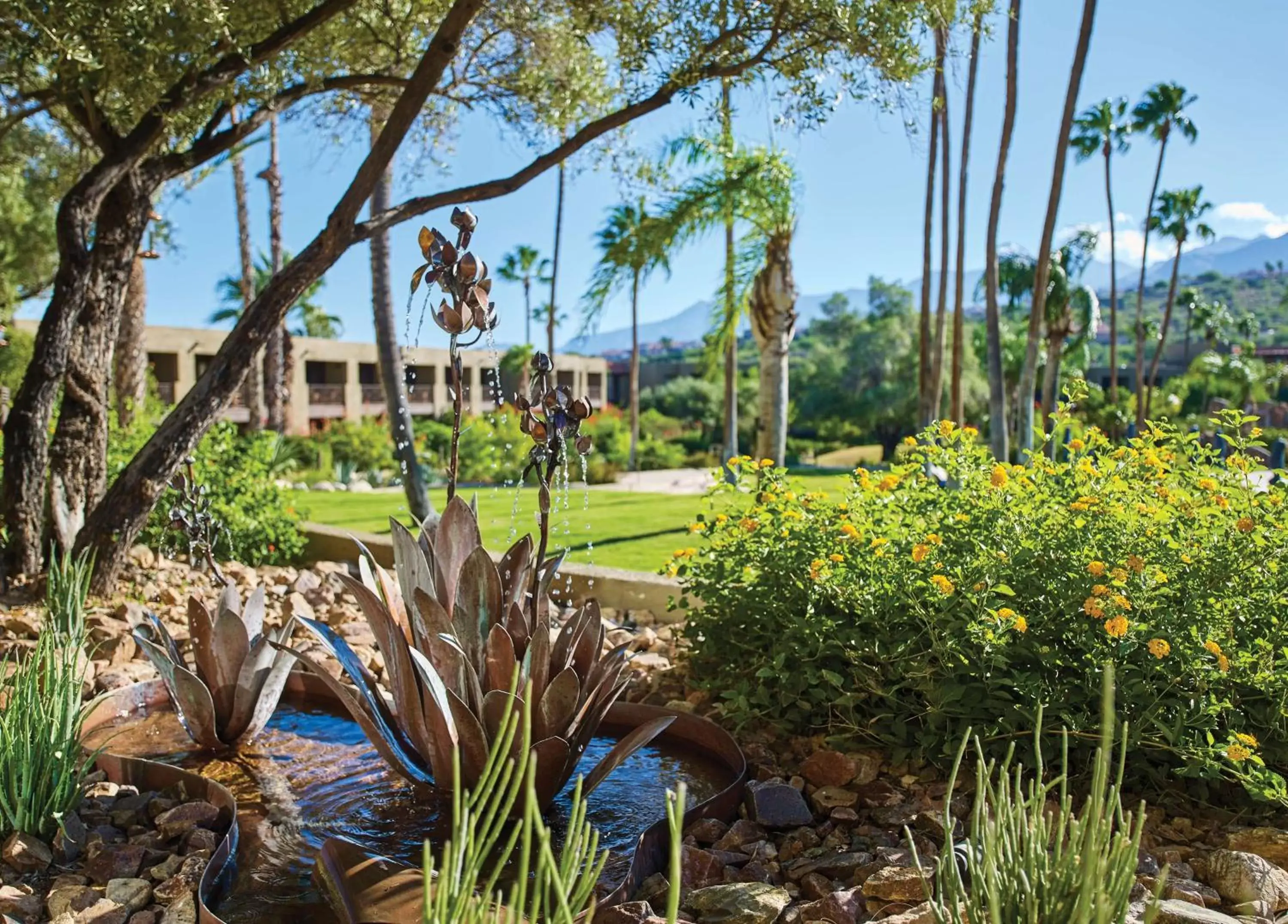 Garden in El Conquistador Tucson, A Hilton Resort