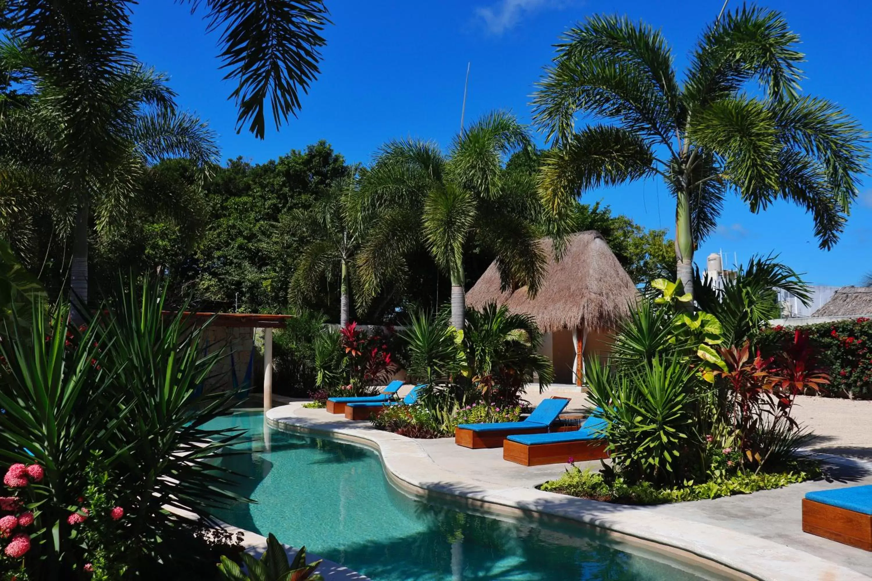 Swimming Pool in Blue Palm Bacalar