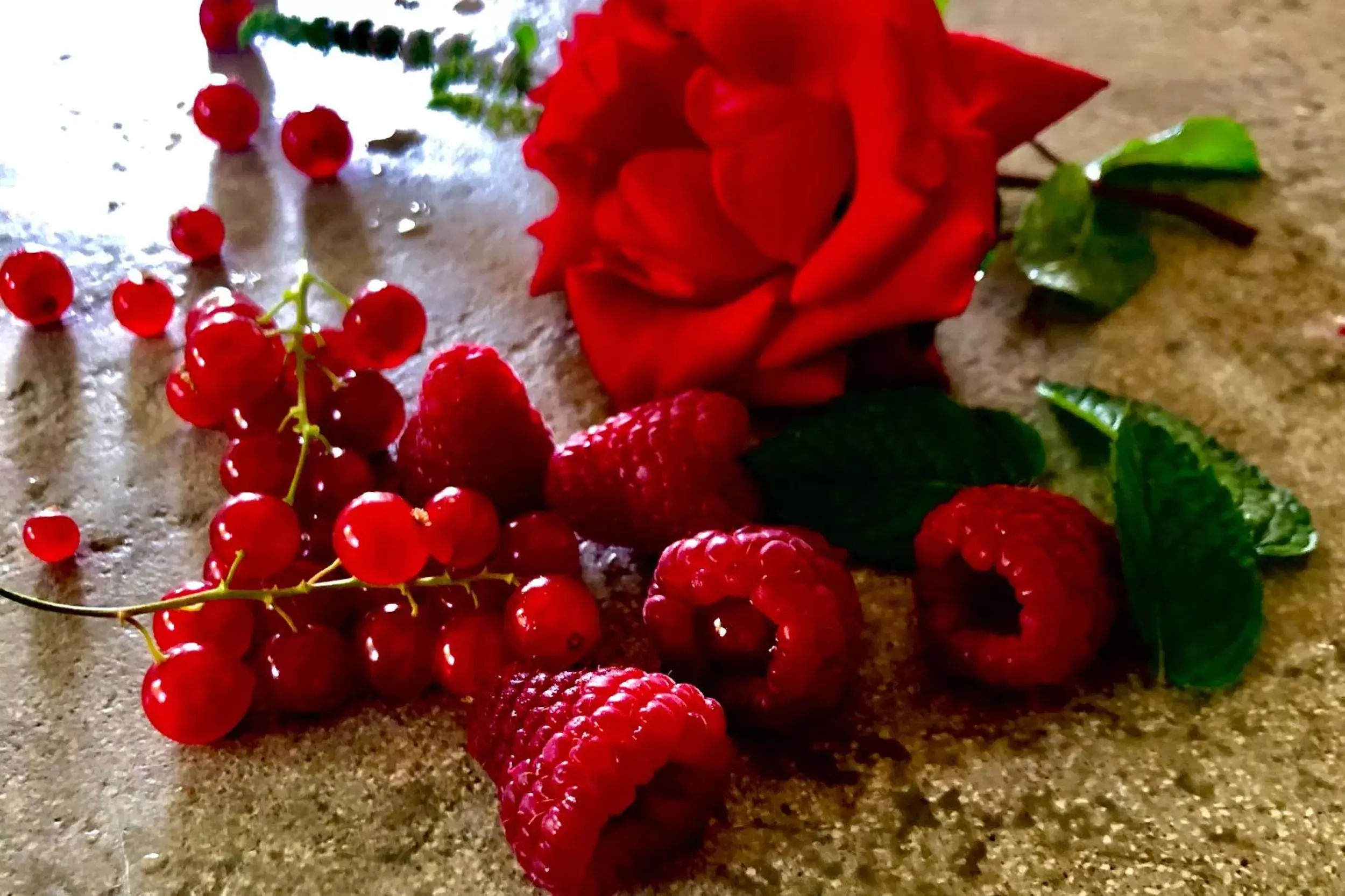 Decorative detail, Food in A Casa Di Ita