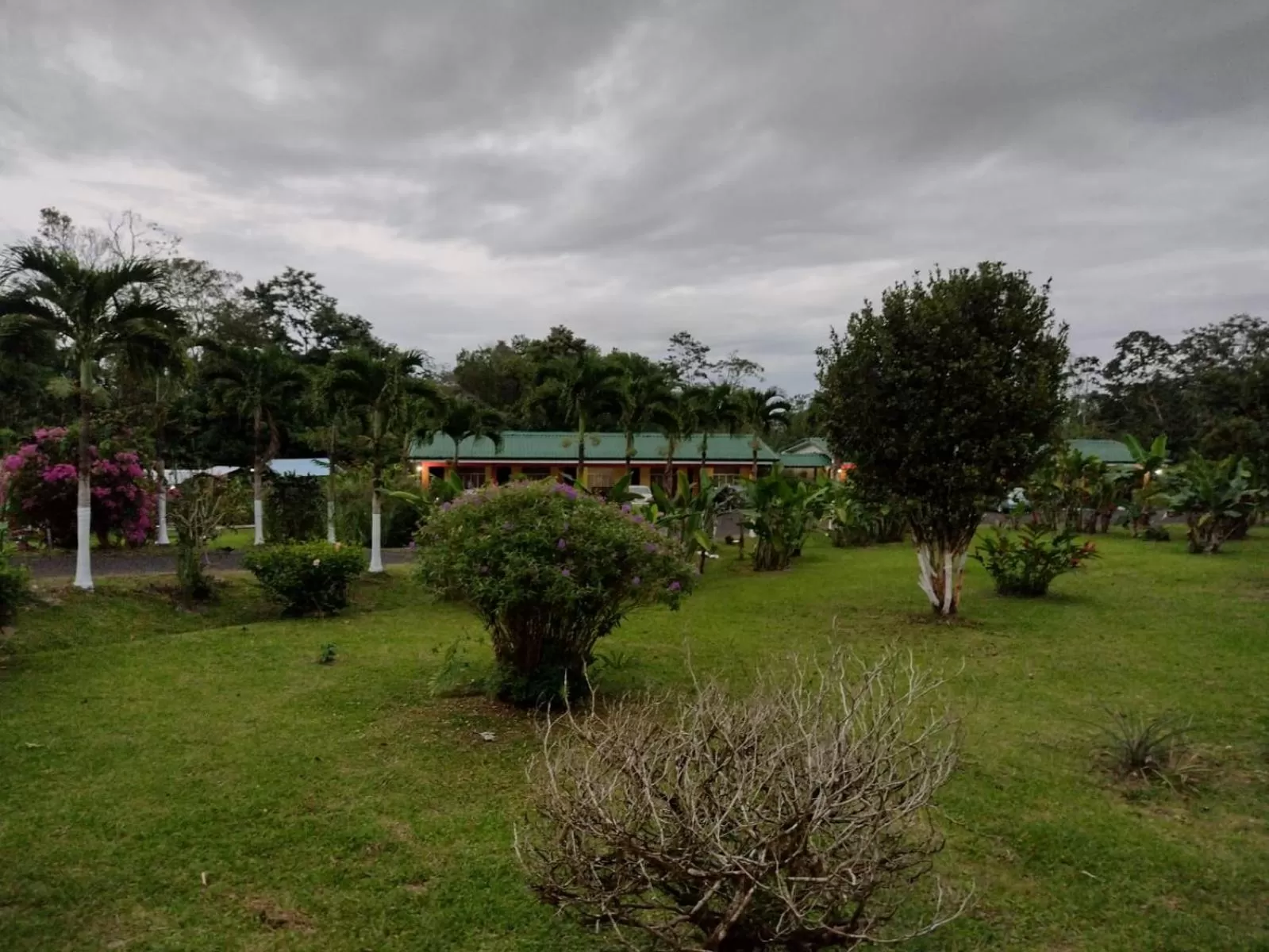 Garden in Hotel & Hot Springs Sueño Dorado
