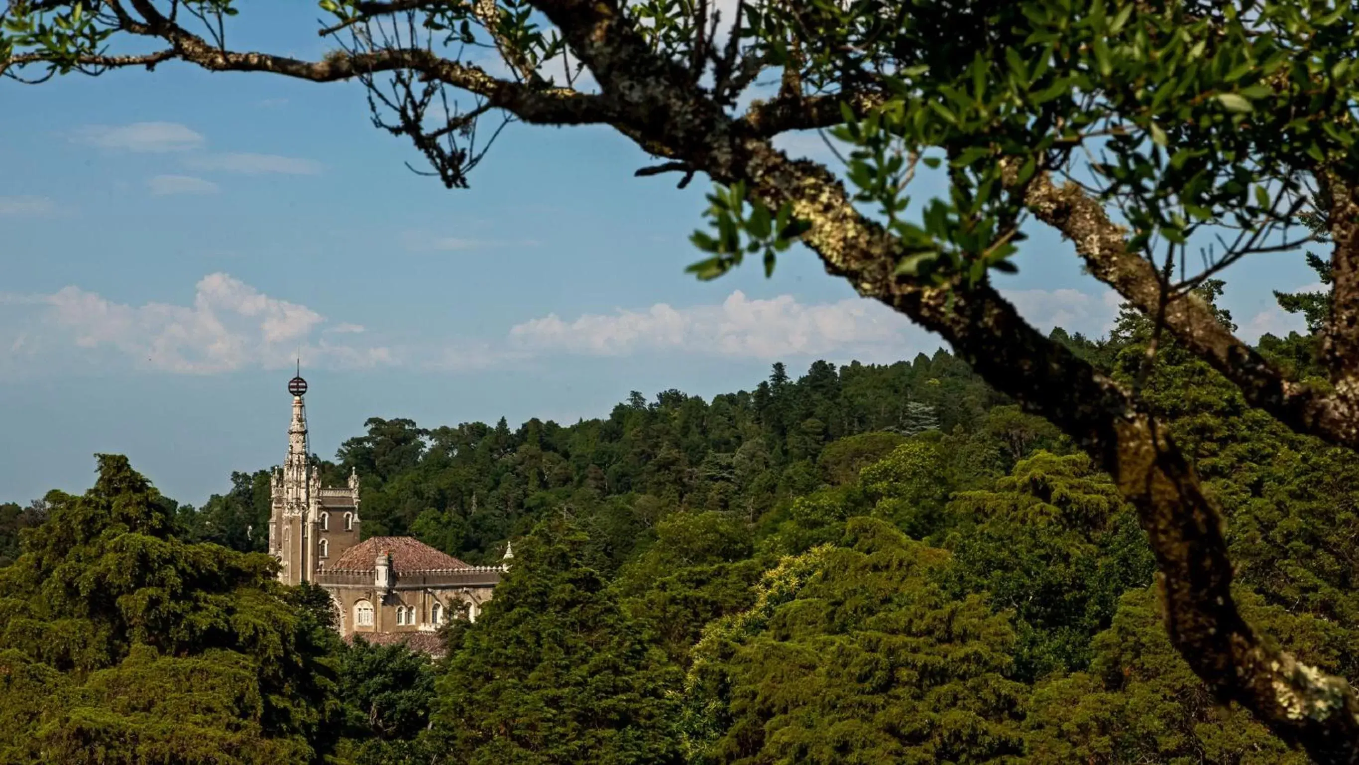 Natural landscape in Palace Hotel do Bussaco