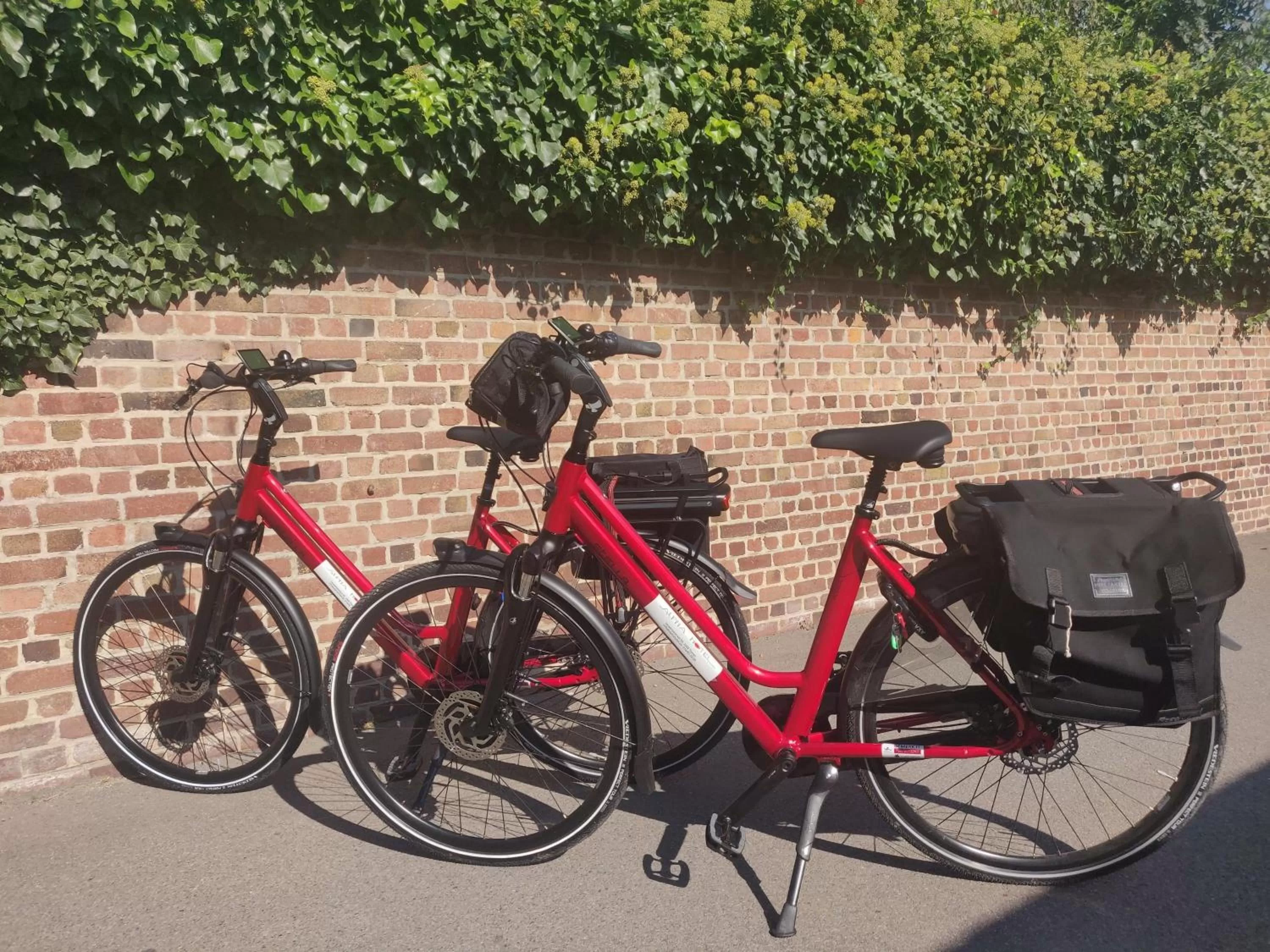 Cycling in Alpha Hotel and Aparthotel