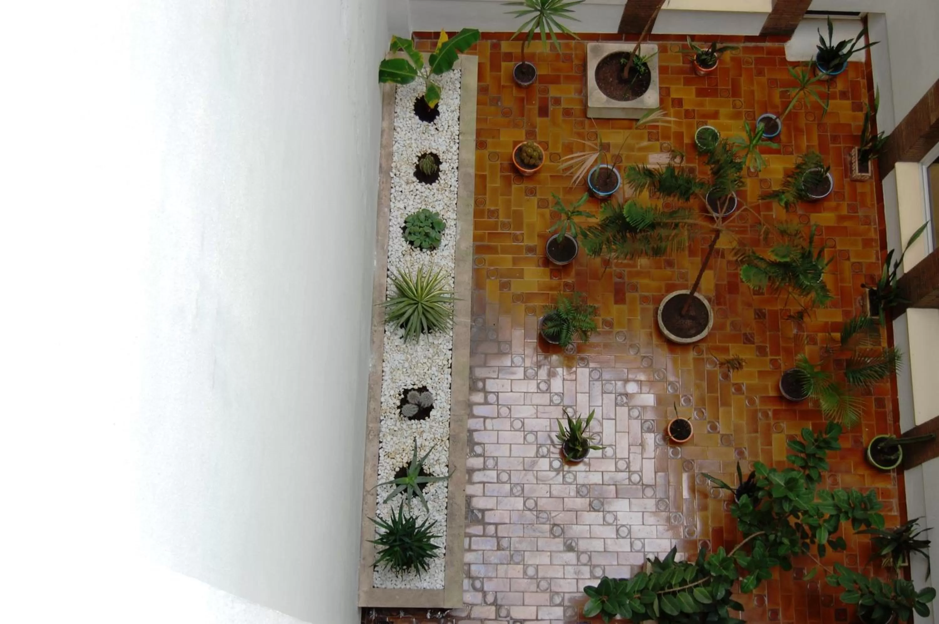 Garden in Hotel Pasarela