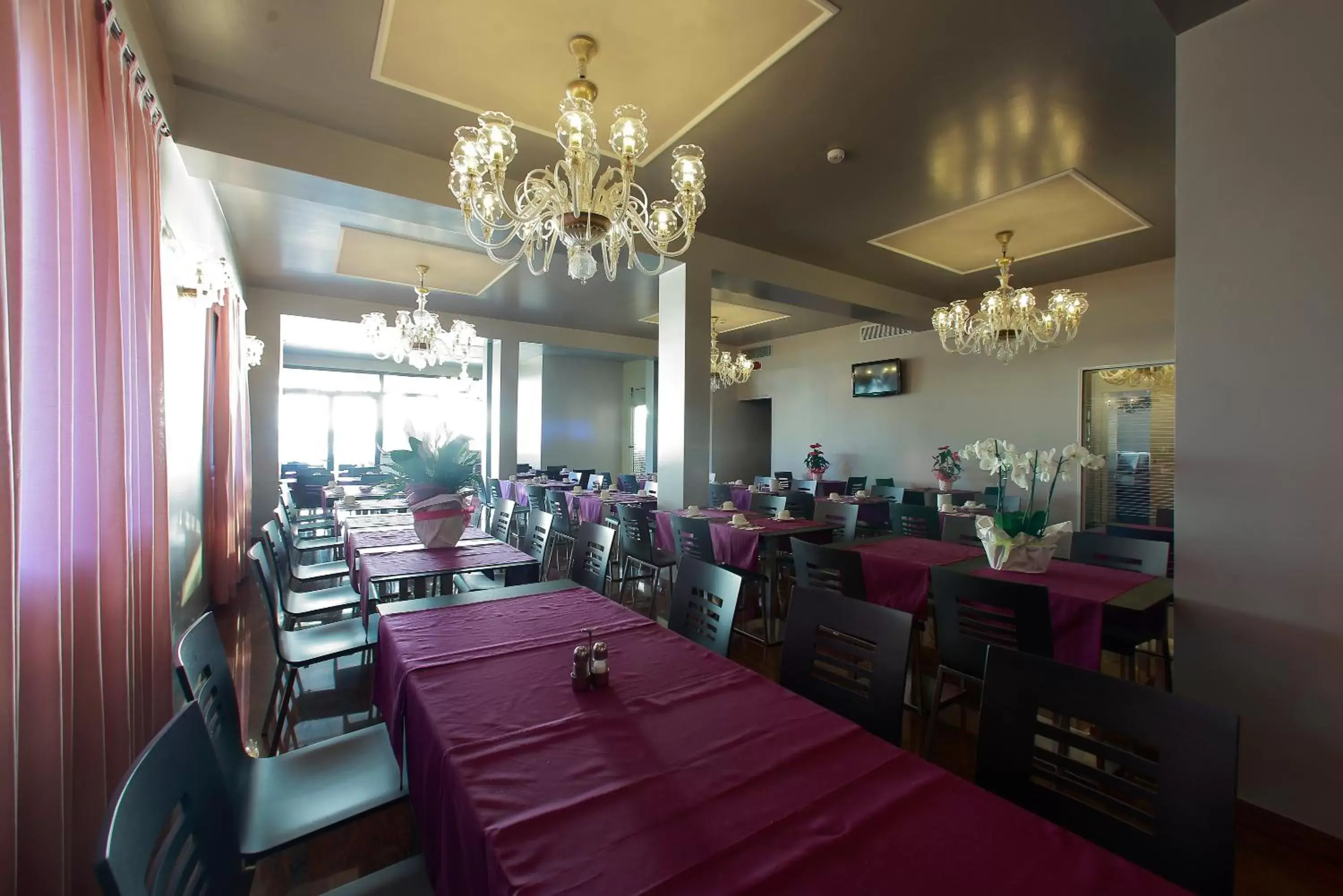 Restaurant/Places to Eat in Hotel San Marco