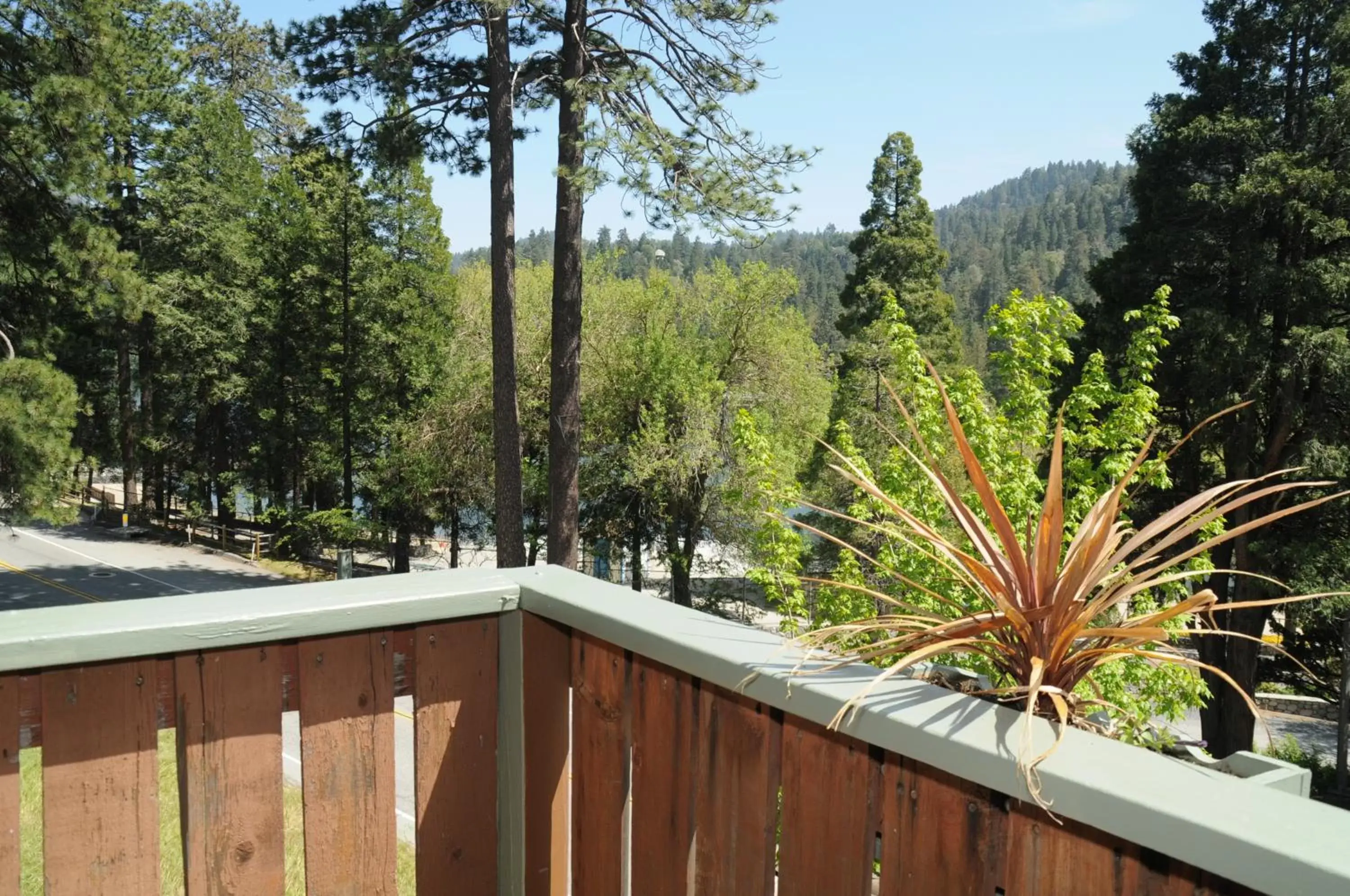 View (from property/room) in The North Shore Inn