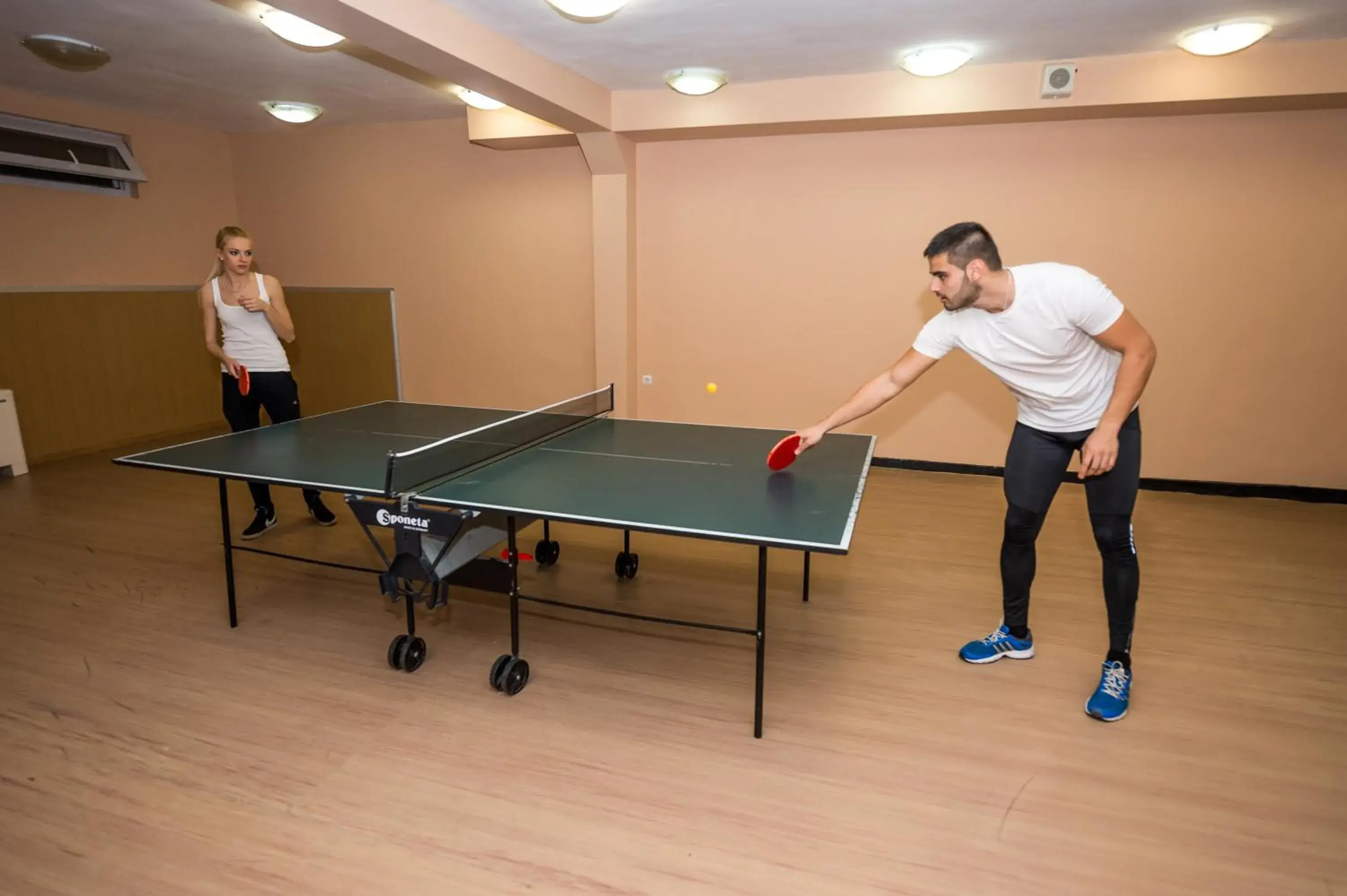 Table Tennis in Hissar Spa Hotel
