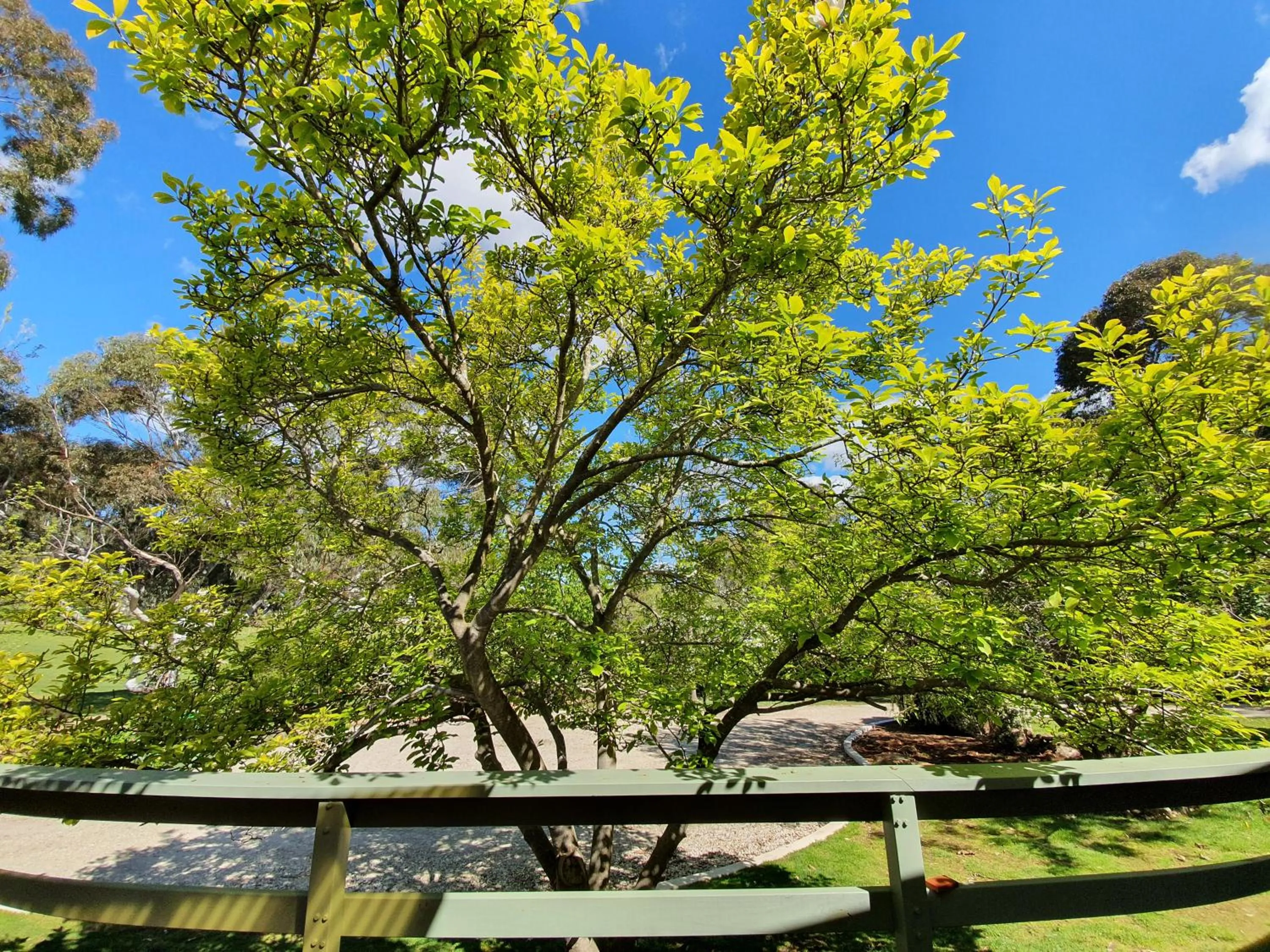 View (from property/room) in Golden Heritage Apartments Beechworth