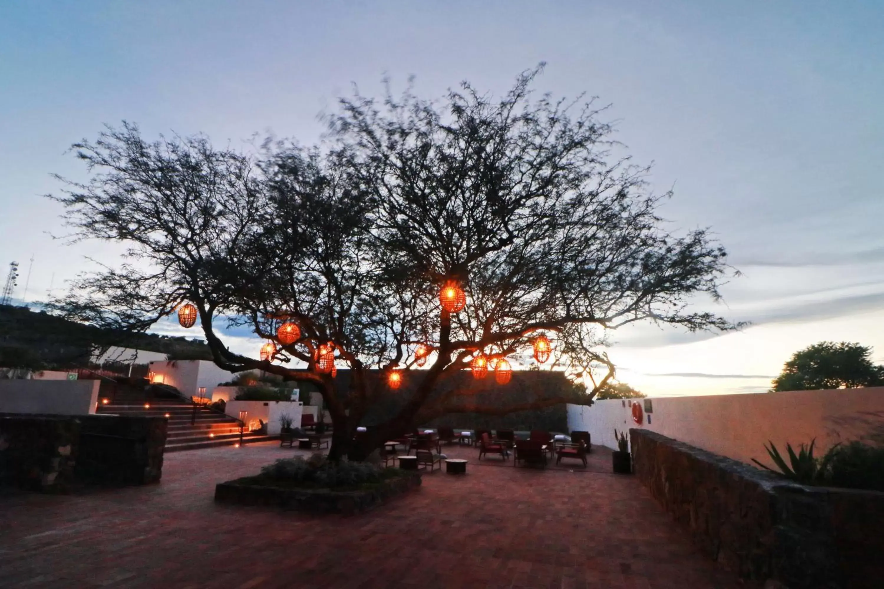 Patio in Albor San Miguel de Allende, Tapestry Collection by Hilton