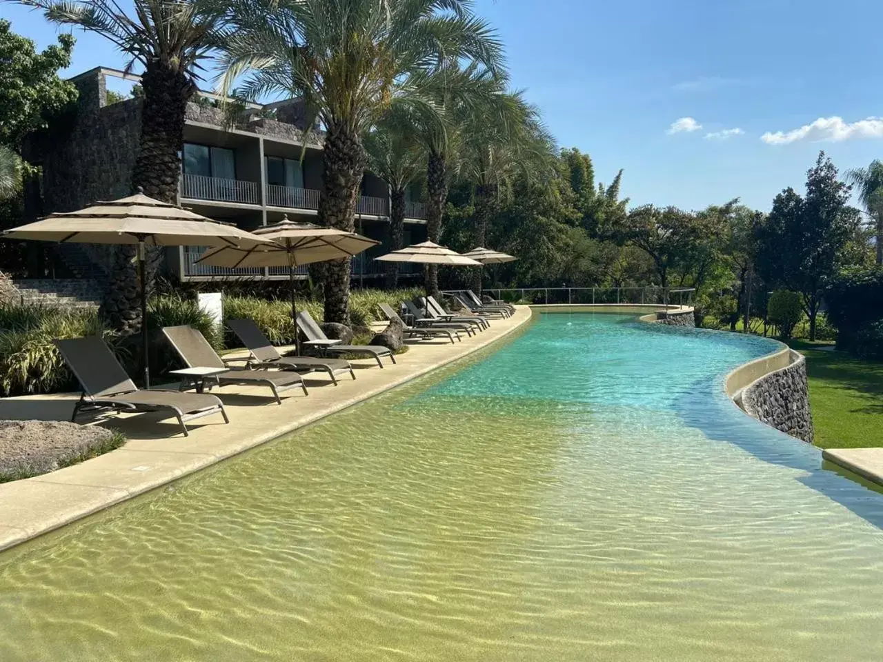 Swimming Pool in Huayacán Cuernavaca Curamoria Collection