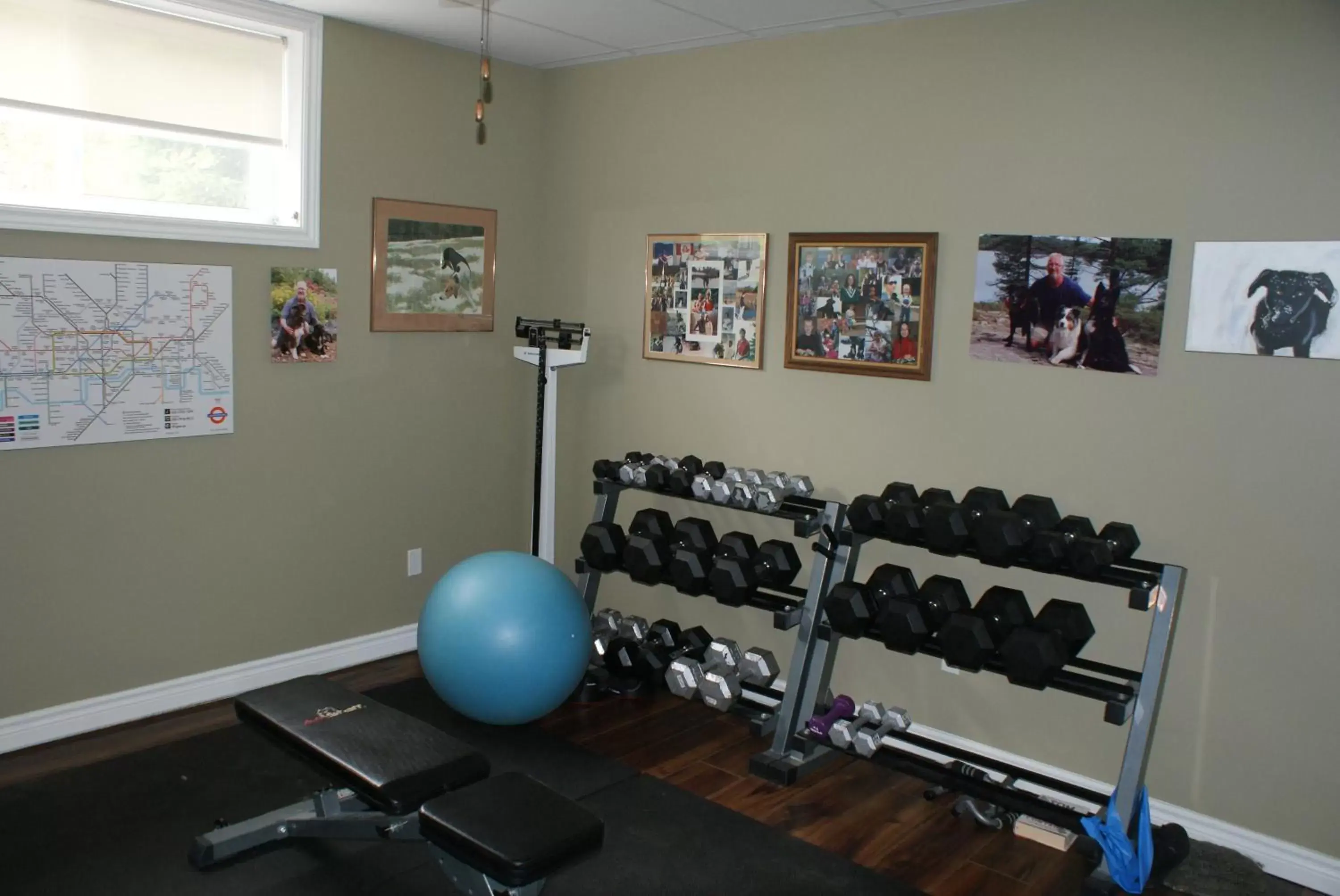 Fitness Center/Facilities in Top of Algonquin Bed and Breakfast