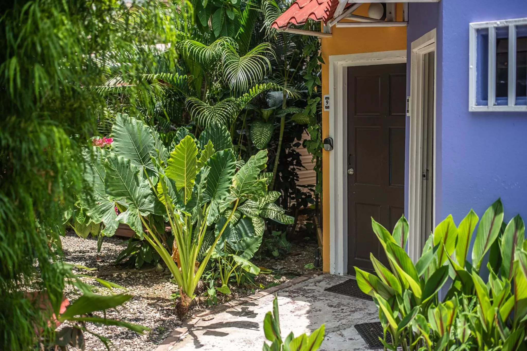 Property building in Jaco Lodge Quiet Place