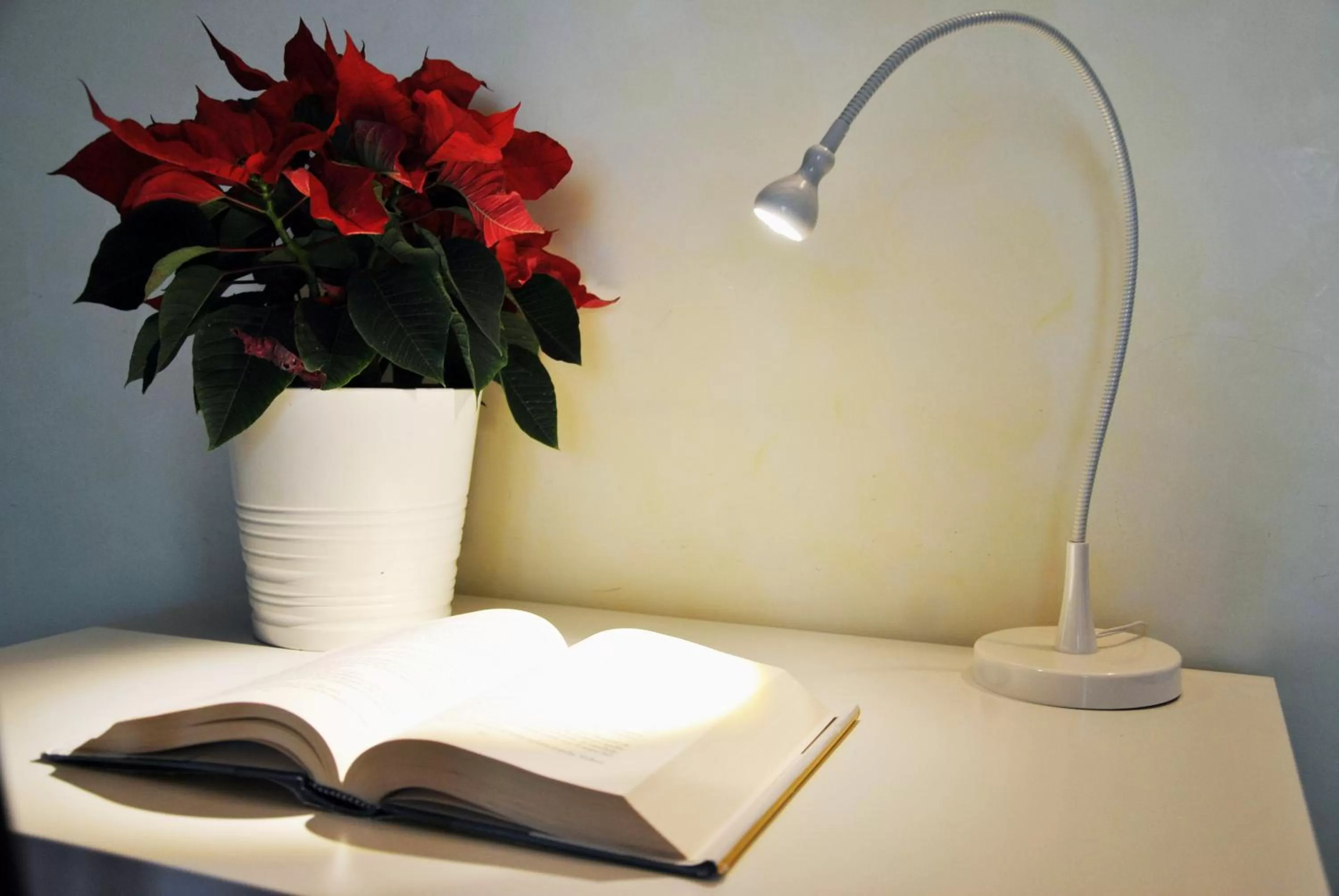 Other in Villa Stefania