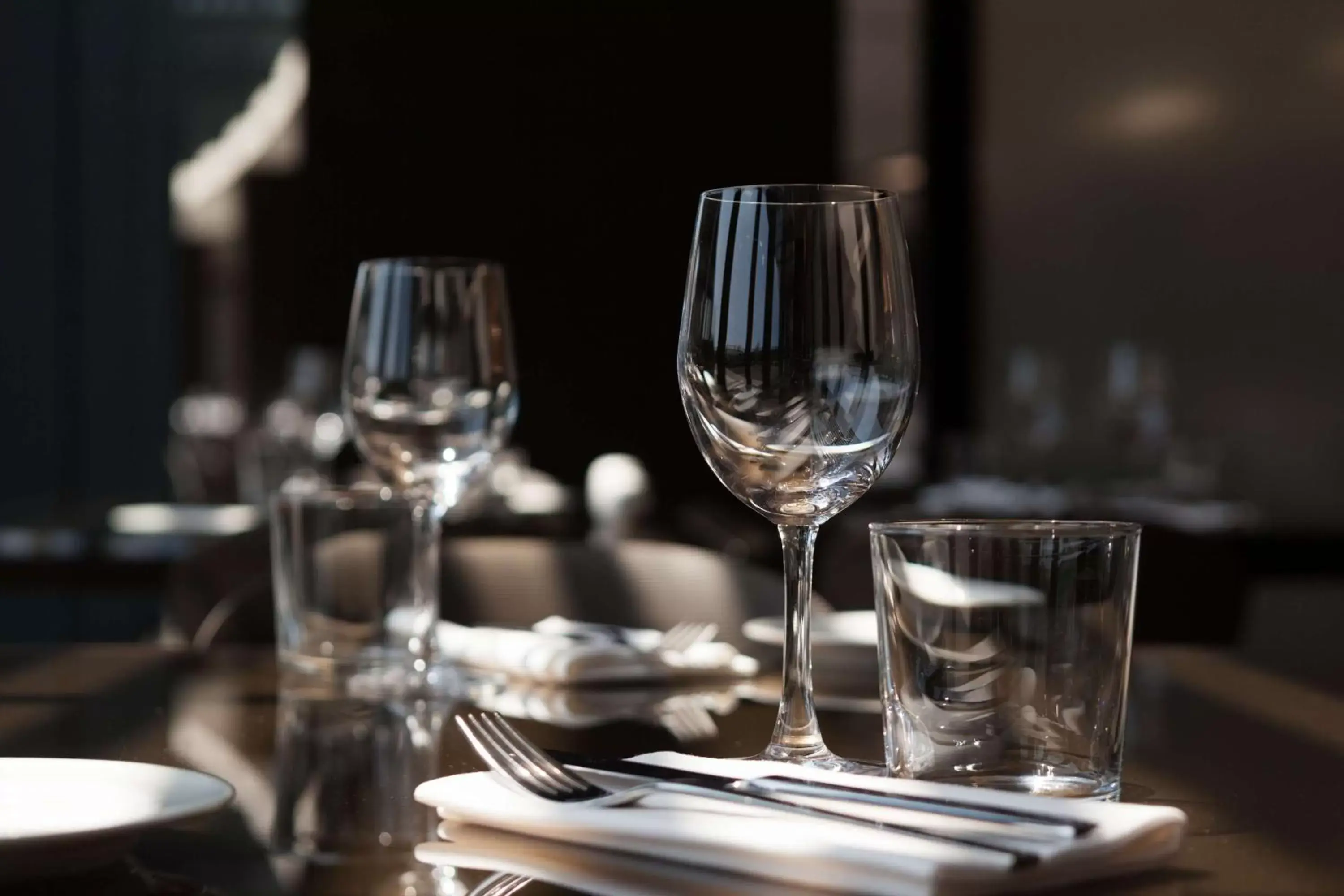 Restaurant/places to eat in Radisson Udaipur Restaurant/places to eat in Radisson Udaipur
