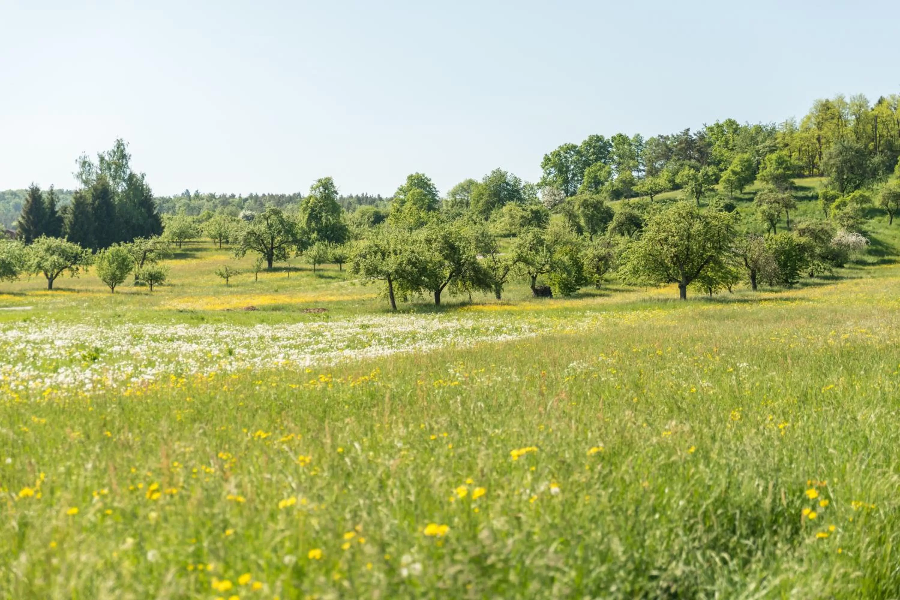 Garden view in Hotel Restaurant Zehn-Brunnen