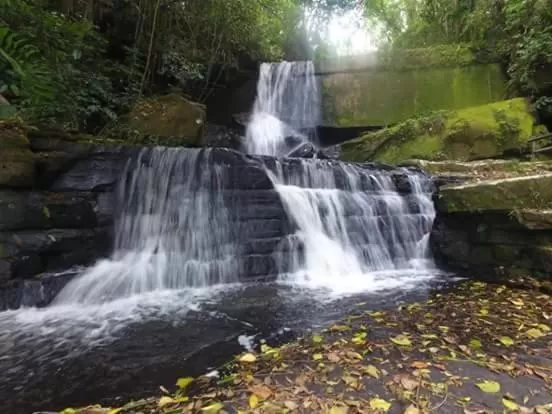 Pousada Vale Dos Figos