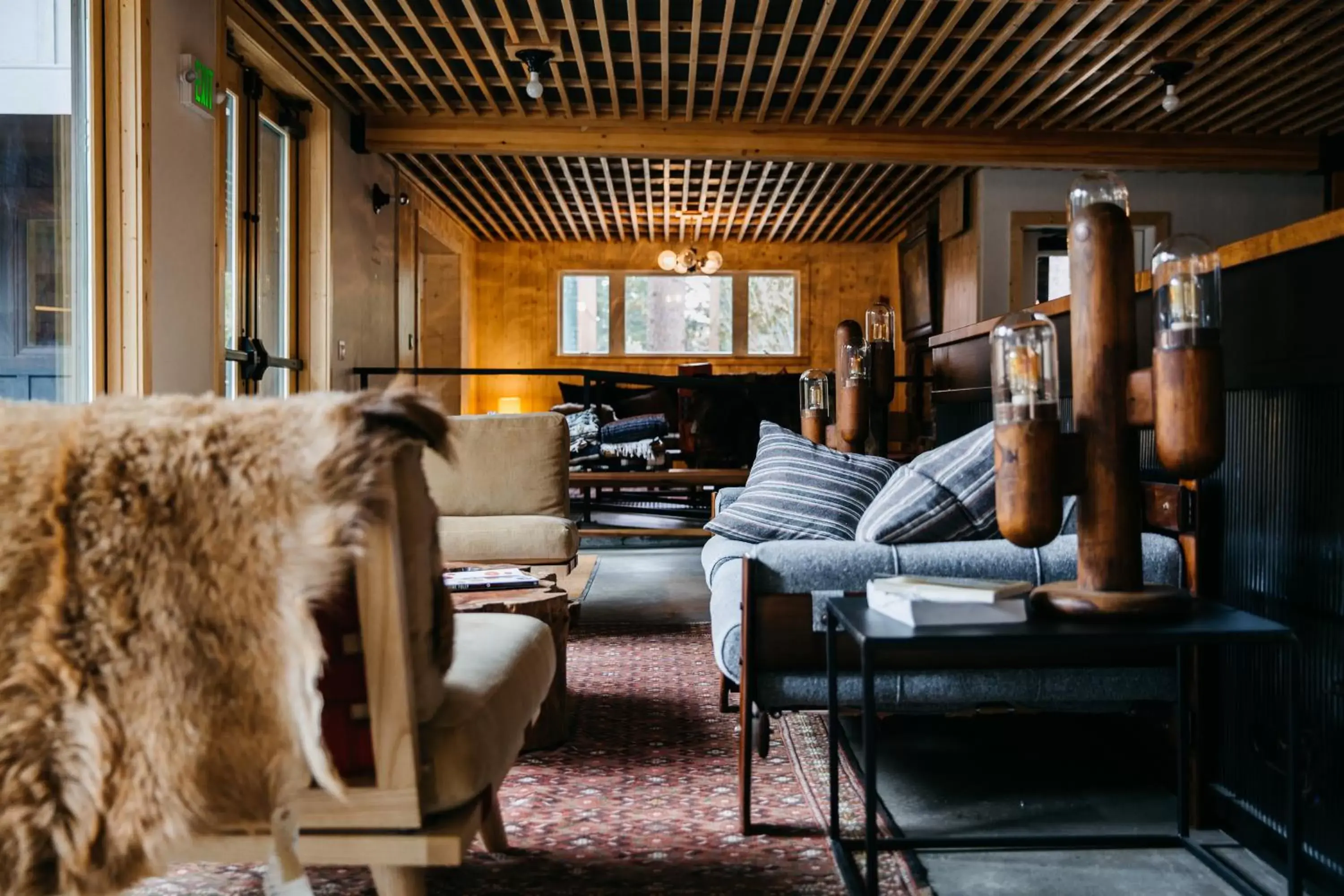 Lobby or reception, Lounge/Bar in The Coachman Hotel