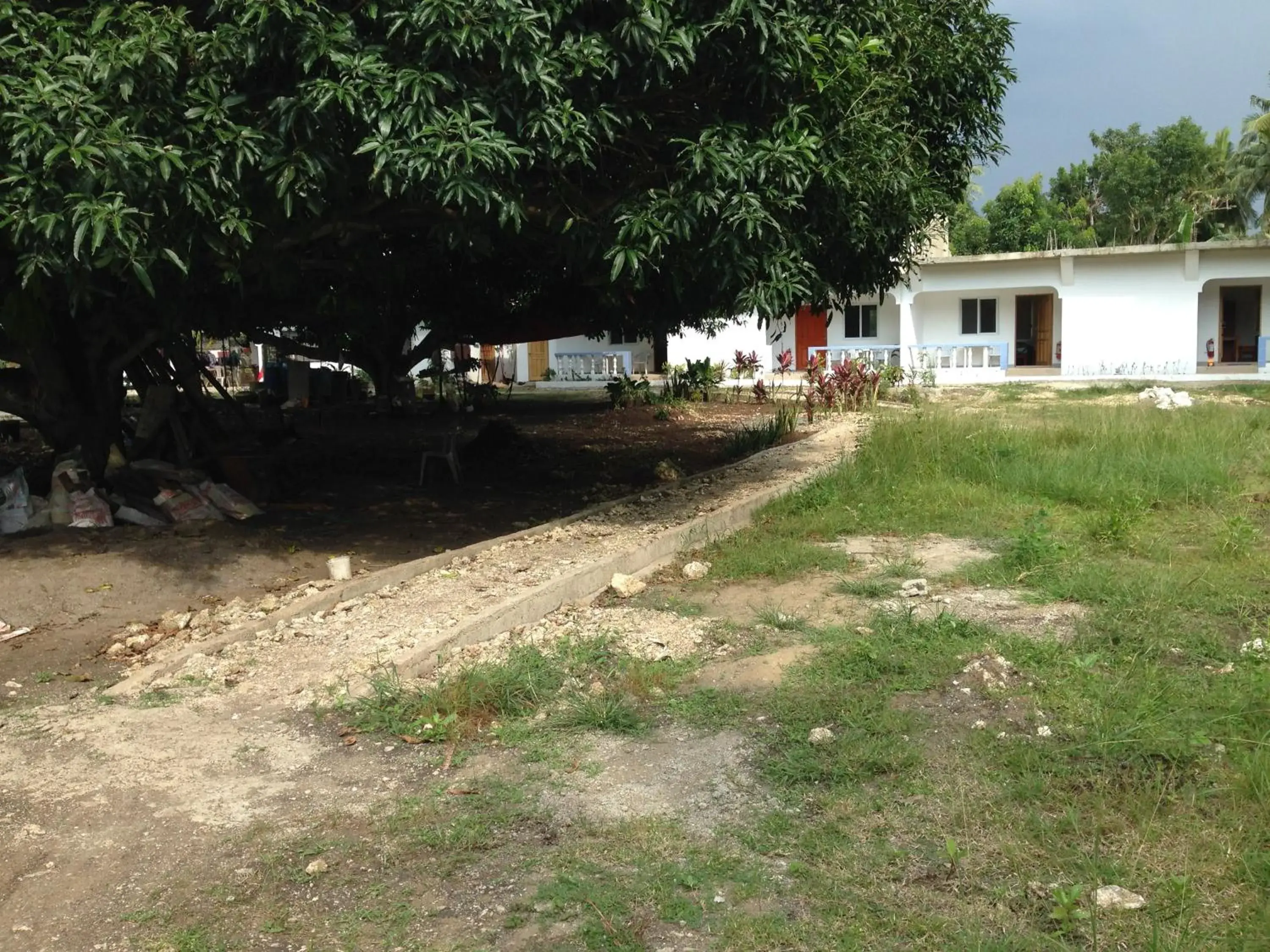 Garden in Mangoes Place