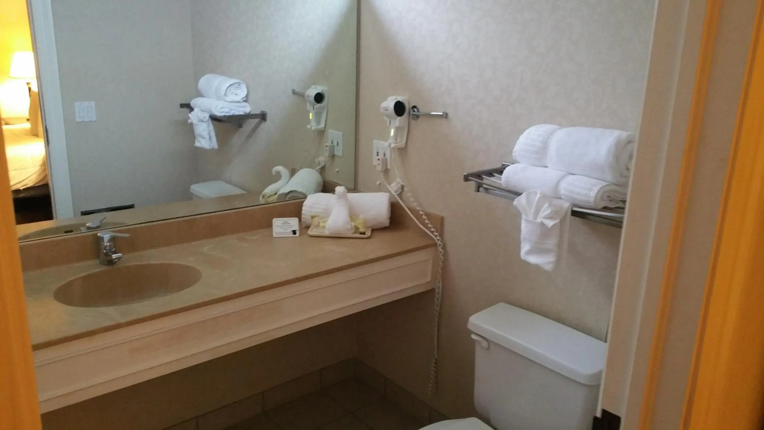 Other, Bathroom in Imperial Swan Hotel and Suites Lakeland