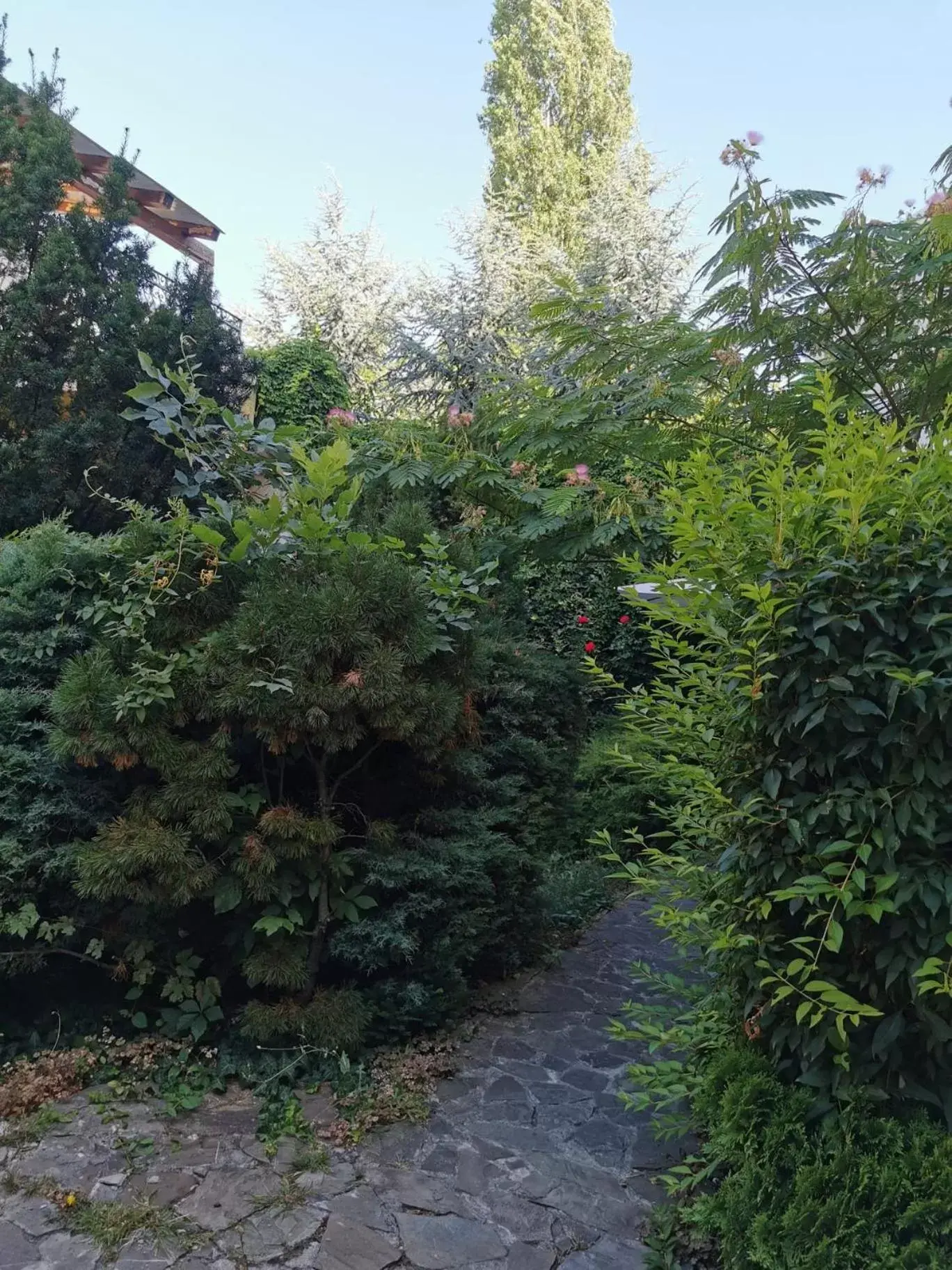 Garden in Prince Residence Apartments