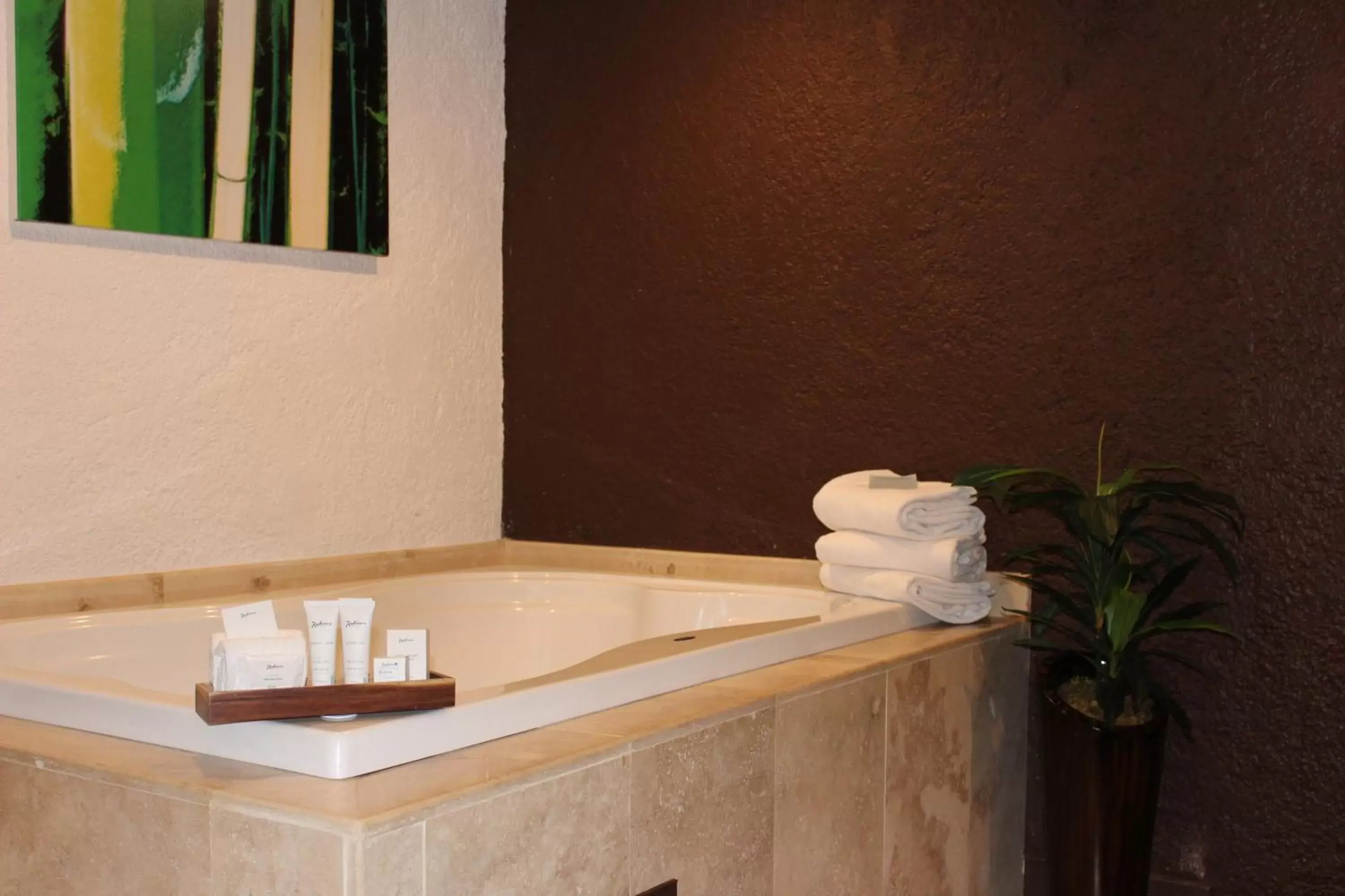 Bath, Bathroom in Radisson Hotel Tapatio Guadalajara