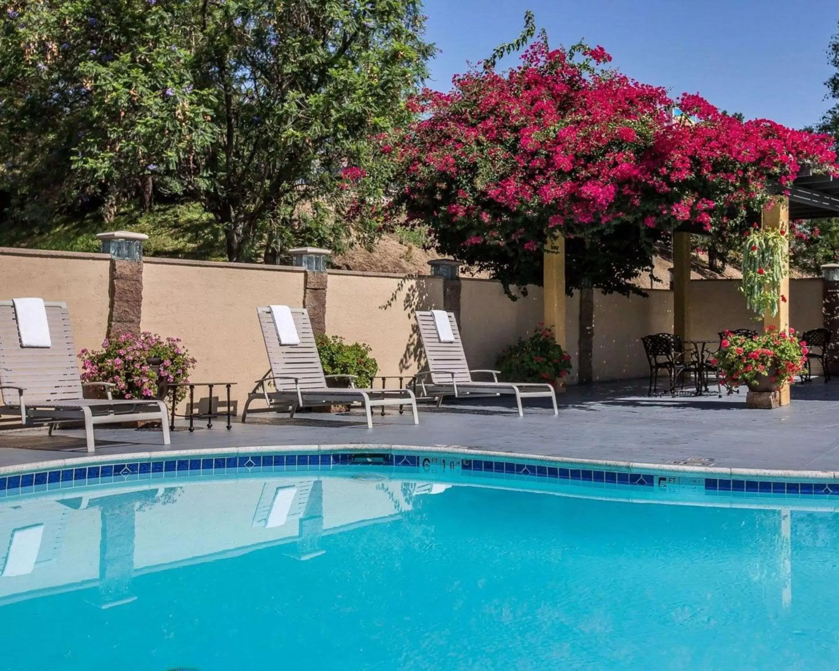 Swimming Pool in Quality Inn Ontario Airport Convention Center