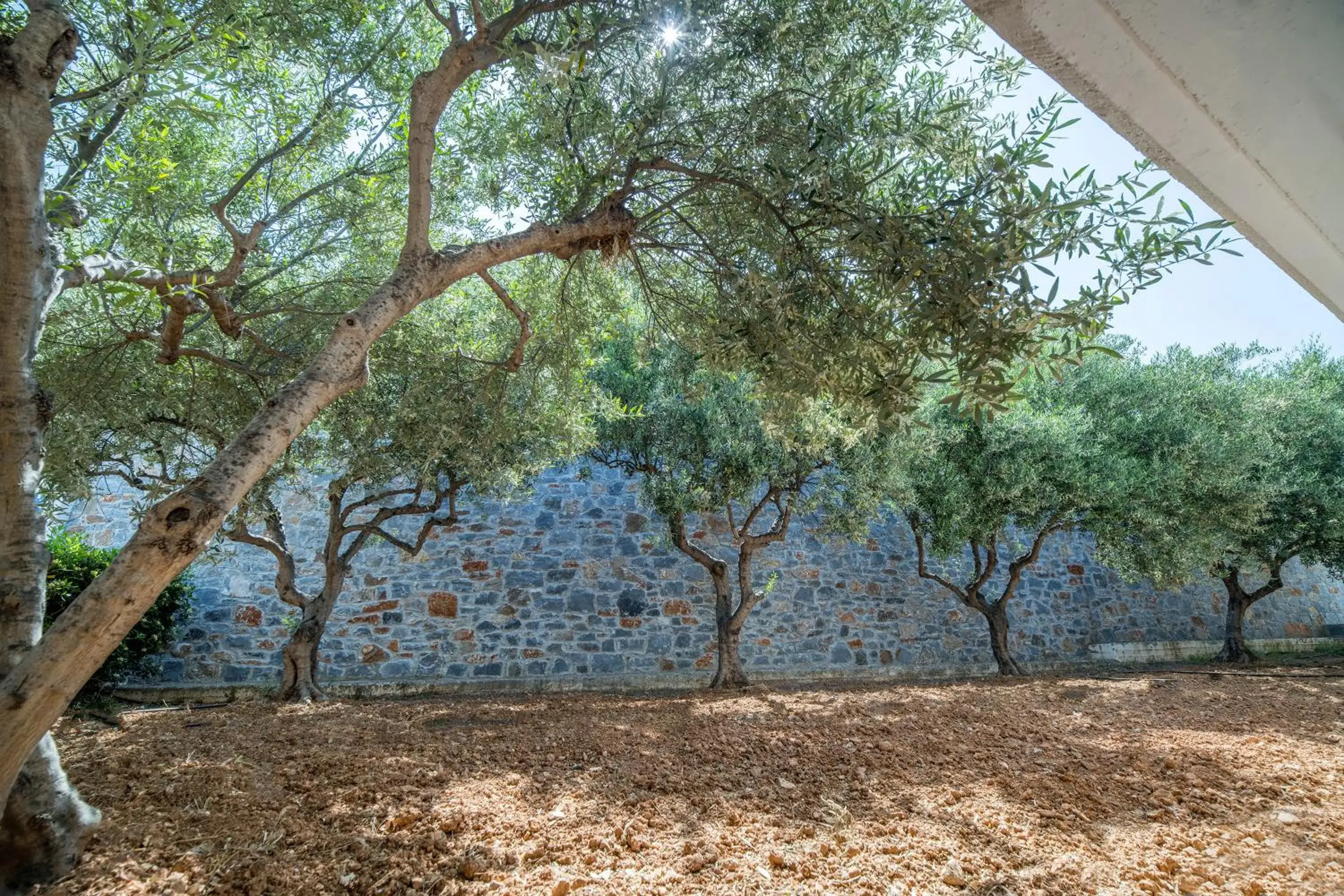 Garden in Semiramis Village