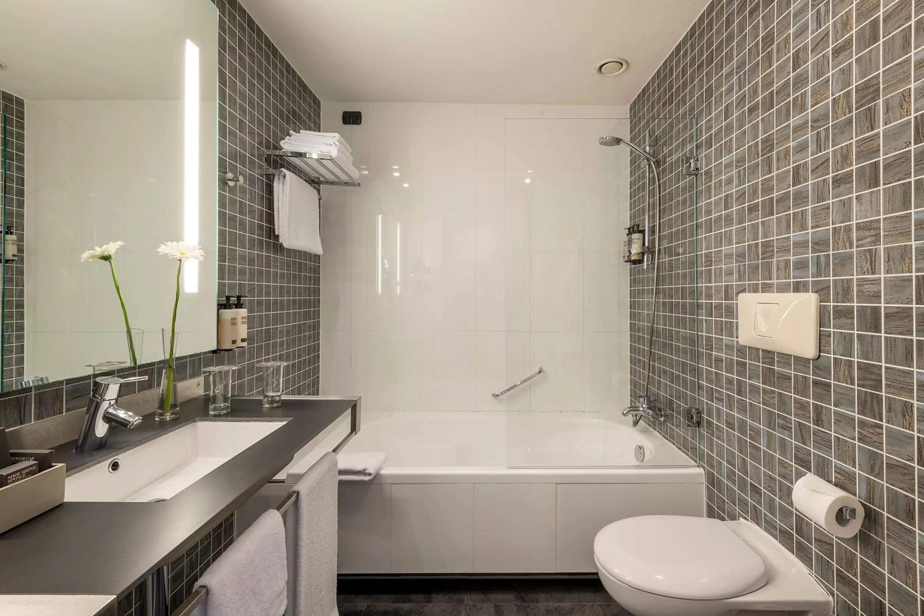 Standard Double Room (1 Adult) in H10 Roma Città