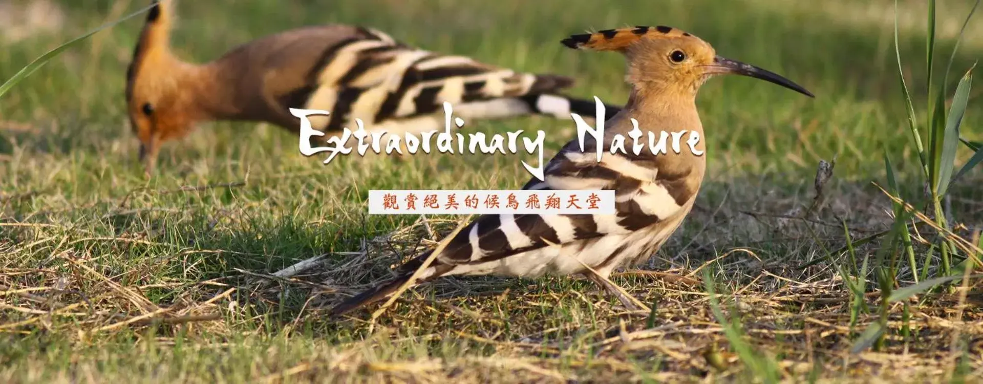 Haifu Garden Hotel Haifu Garden Hotel