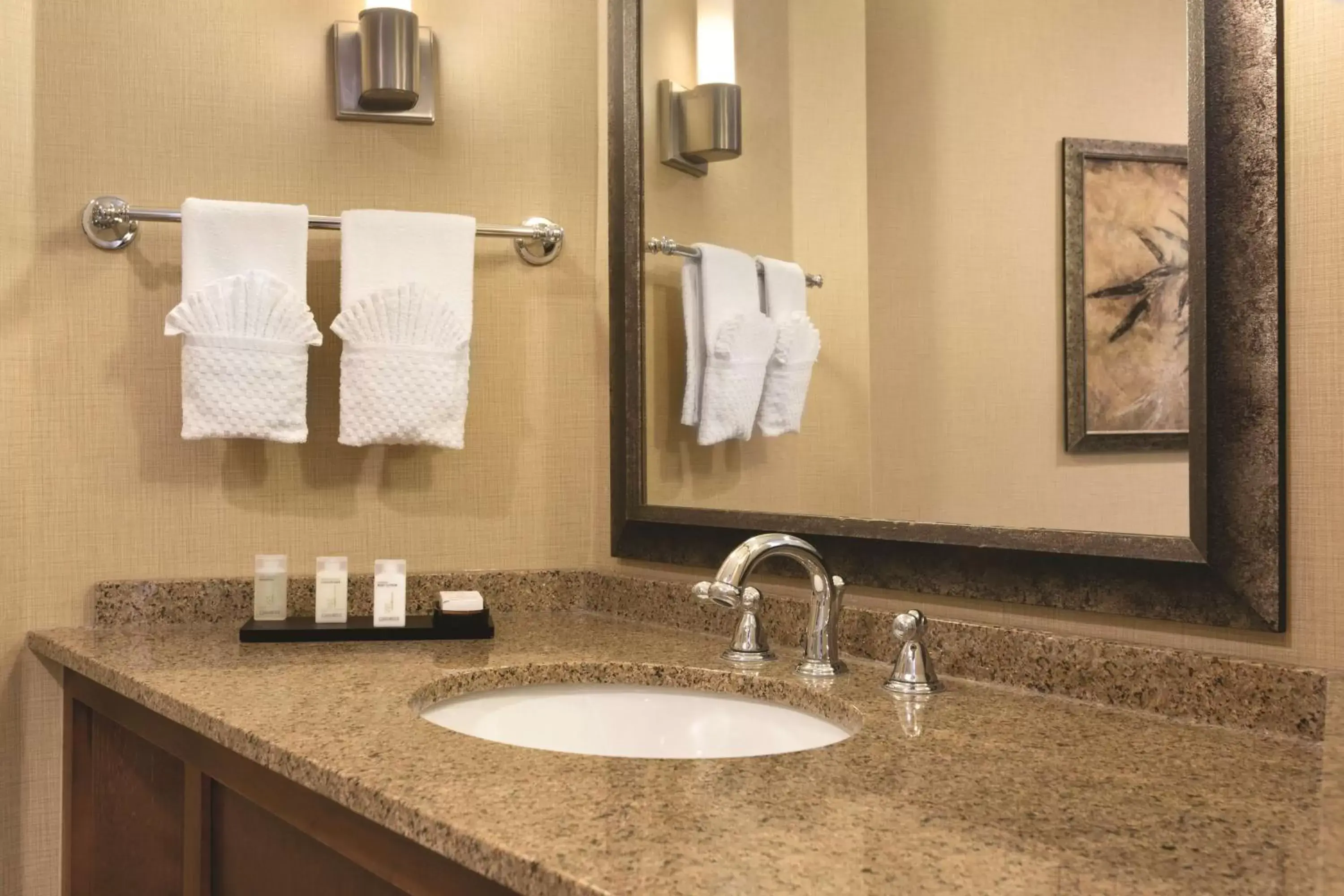 Bathroom in Embassy Suites by Hilton Bloomington/Minneapolis