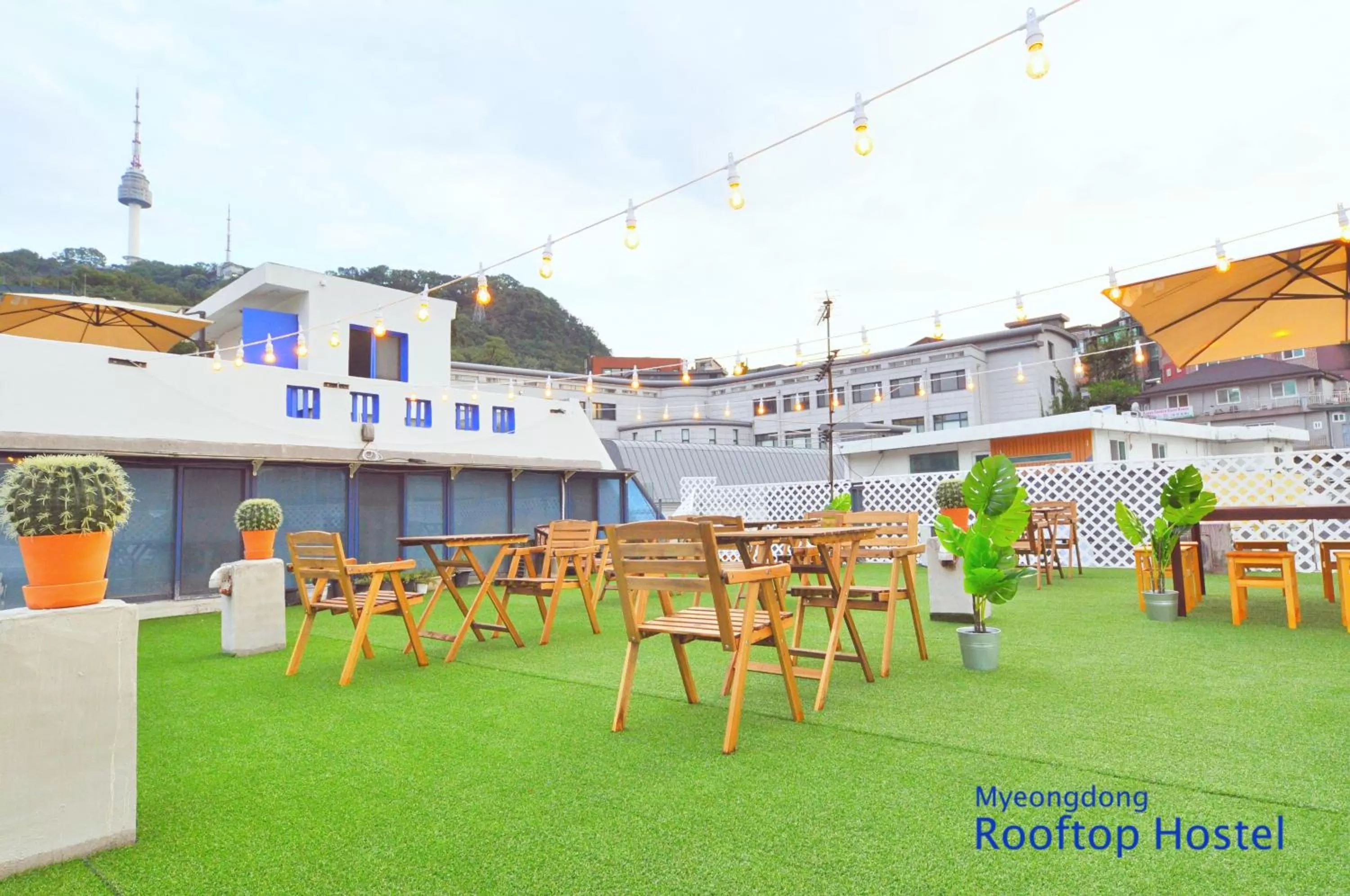OYO Rooftop Hostel