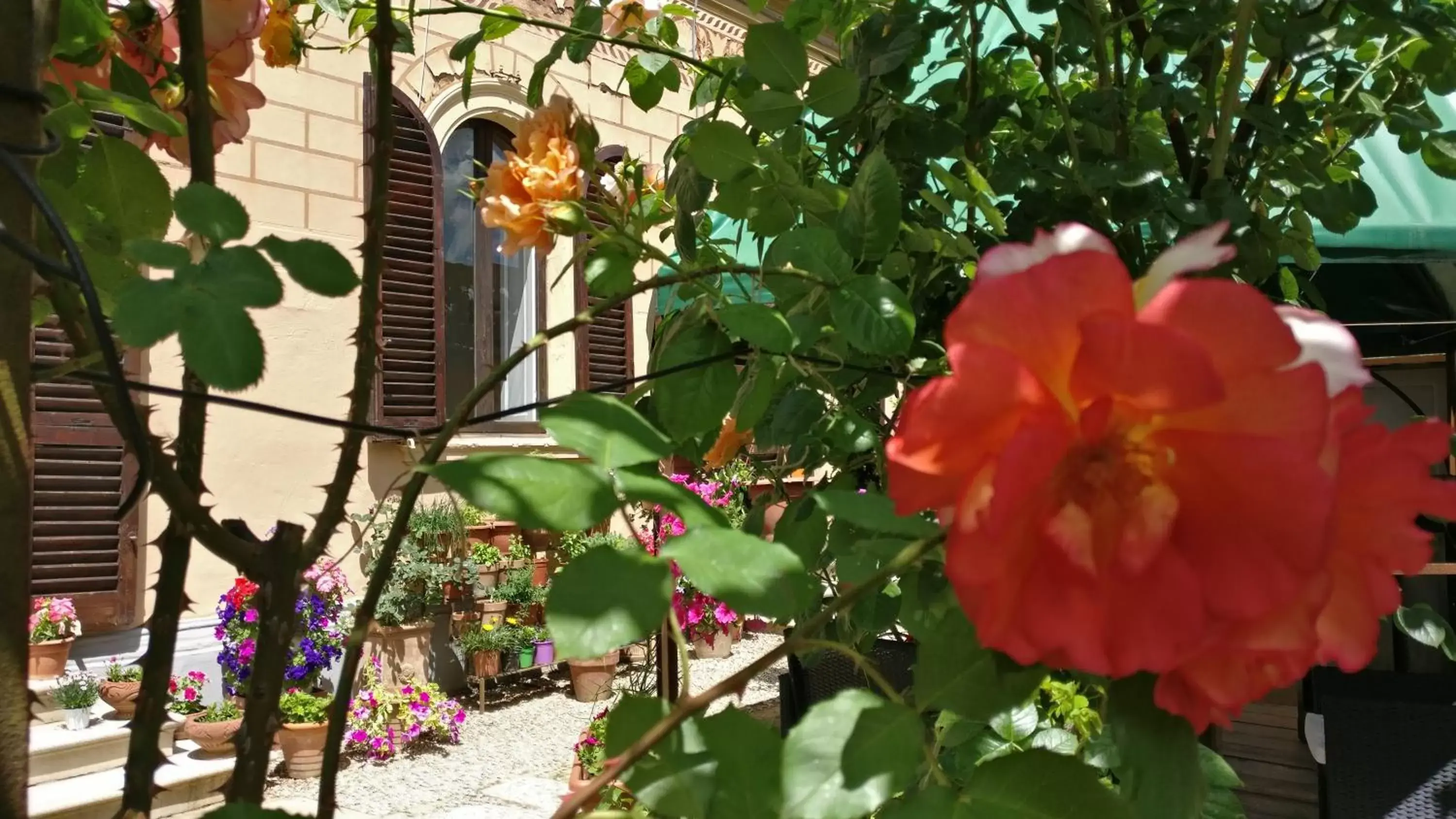 Garden, Property Building in La Chicca B&B Siena